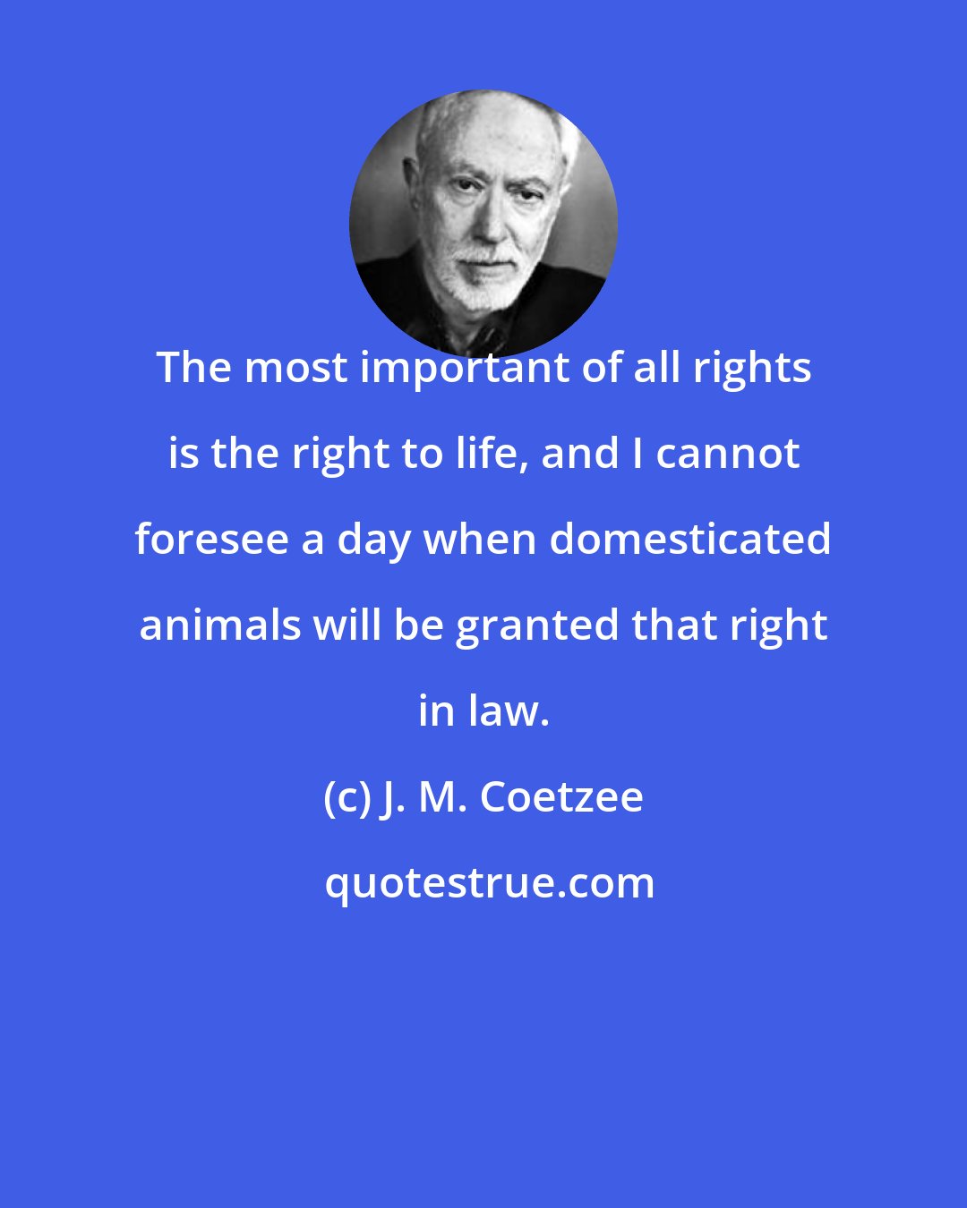 J. M. Coetzee: The most important of all rights is the right to life, and I cannot foresee a day when domesticated animals will be granted that right in law.