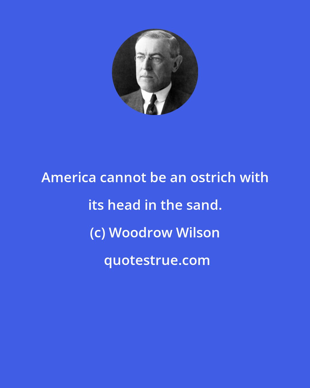 Woodrow Wilson: America cannot be an ostrich with its head in the sand.