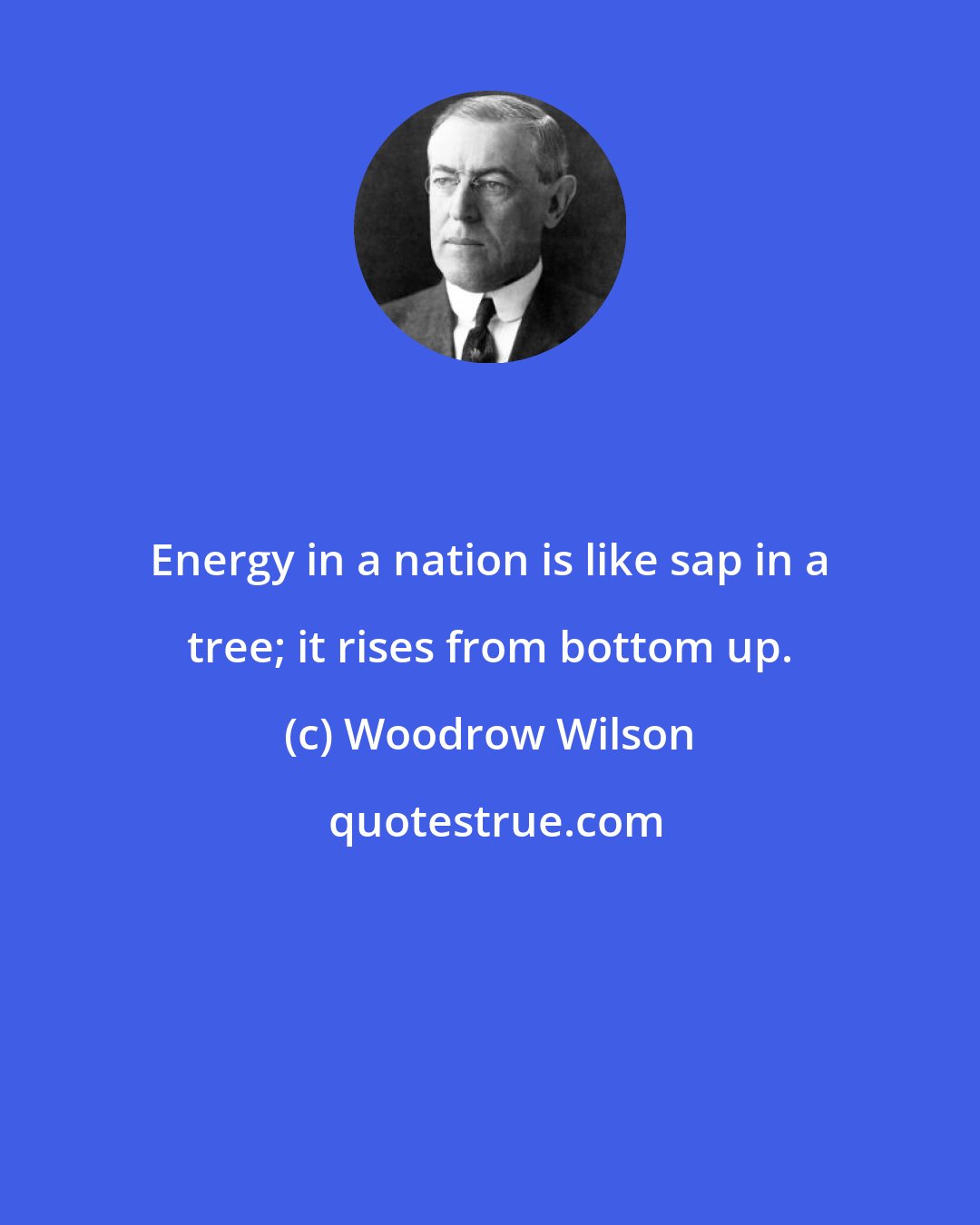 Woodrow Wilson: Energy in a nation is like sap in a tree; it rises from bottom up.