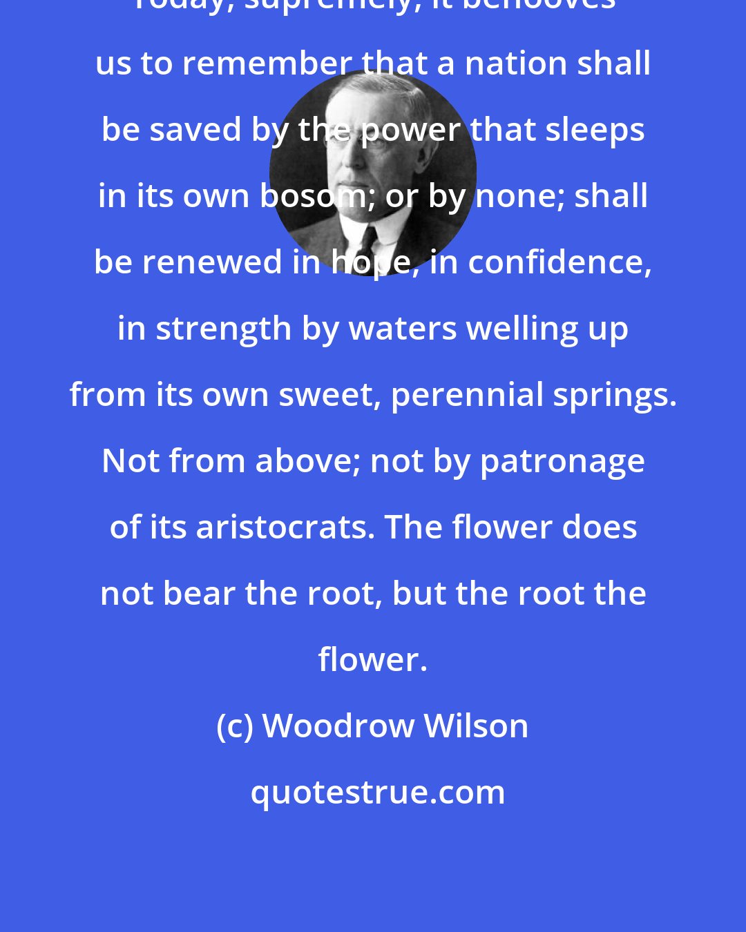 Woodrow Wilson: Today, supremely, it behooves us to remember that a nation shall be saved by the power that sleeps in its own bosom; or by none; shall be renewed in hope, in confidence, in strength by waters welling up from its own sweet, perennial springs. Not from above; not by patronage of its aristocrats. The flower does not bear the root, but the root the flower.