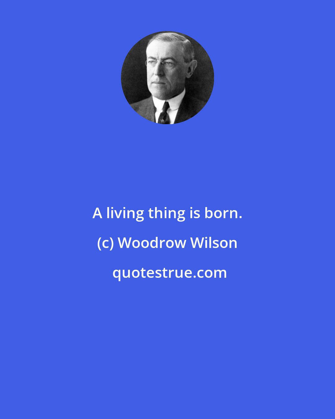 Woodrow Wilson: A living thing is born.