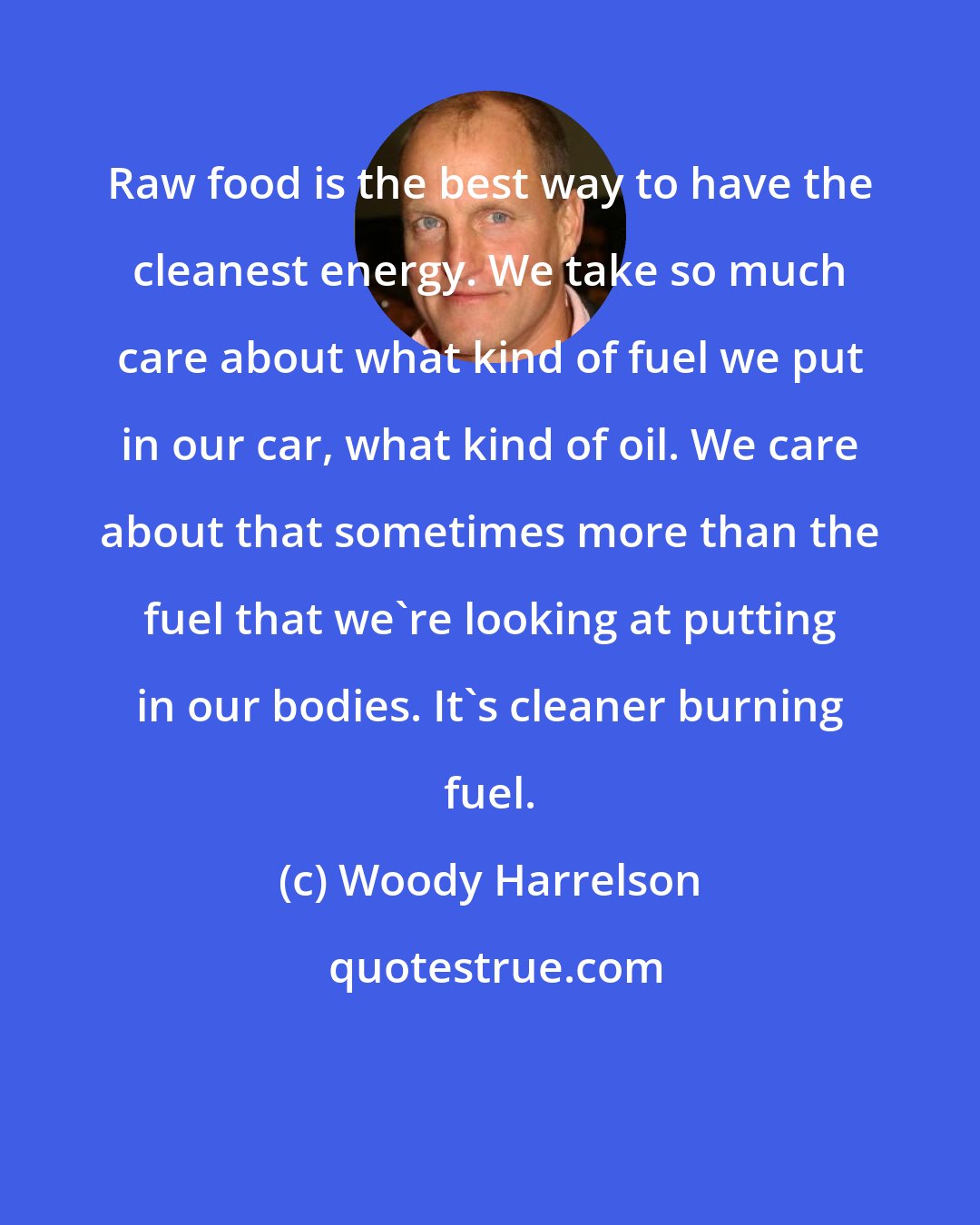 Woody Harrelson: Raw food is the best way to have the cleanest energy. We take so much care about what kind of fuel we put in our car, what kind of oil. We care about that sometimes more than the fuel that we're looking at putting in our bodies. It's cleaner burning fuel.