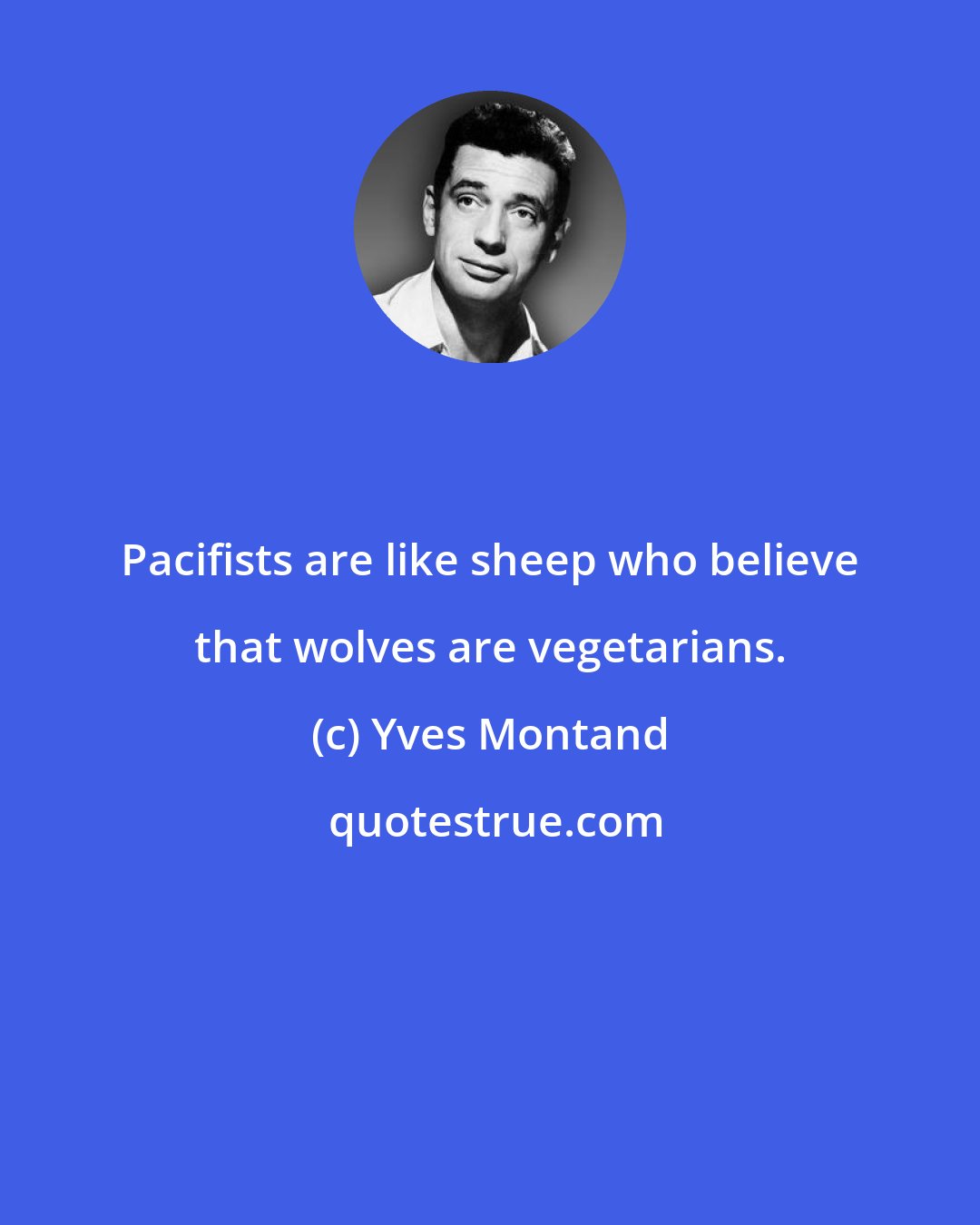 Yves Montand: Pacifists are like sheep who believe that wolves are vegetarians.