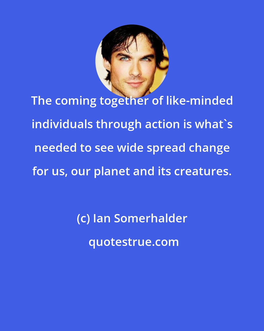 Ian Somerhalder: The coming together of like-minded individuals through action is what's needed to see wide spread change for us, our planet and its creatures.