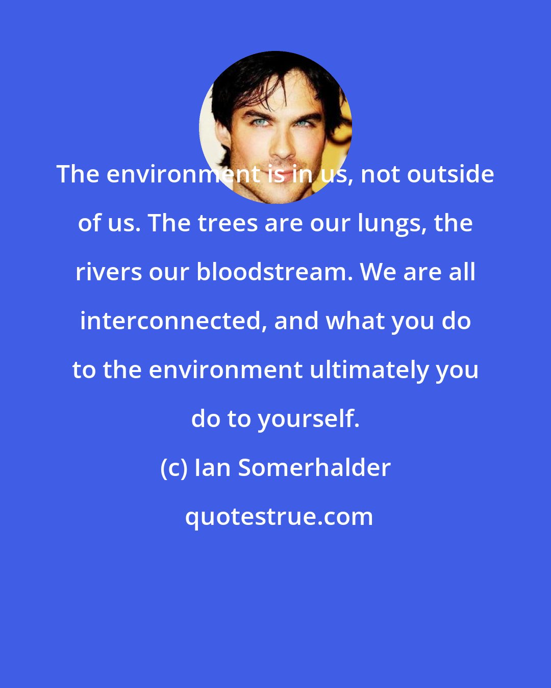 Ian Somerhalder: The environment is in us, not outside of us. The trees are our lungs, the rivers our bloodstream. We are all interconnected, and what you do to the environment ultimately you do to yourself.