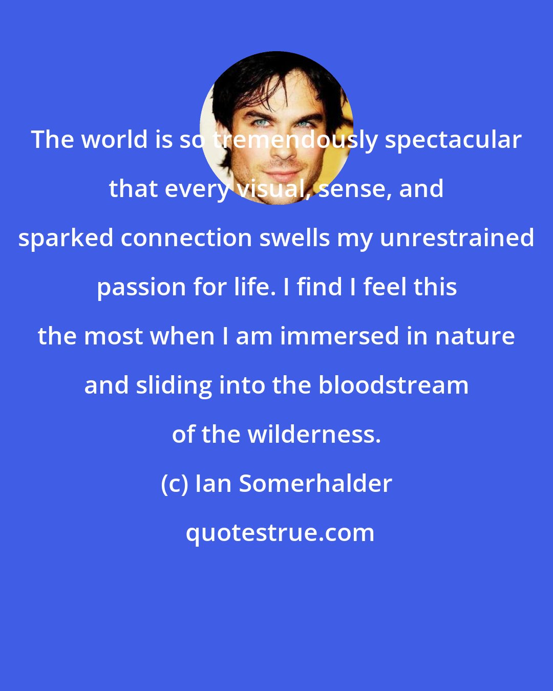 Ian Somerhalder: The world is so tremendously spectacular that every visual, sense, and sparked connection swells my unrestrained passion for life. I find I feel this the most when I am immersed in nature and sliding into the bloodstream of the wilderness.