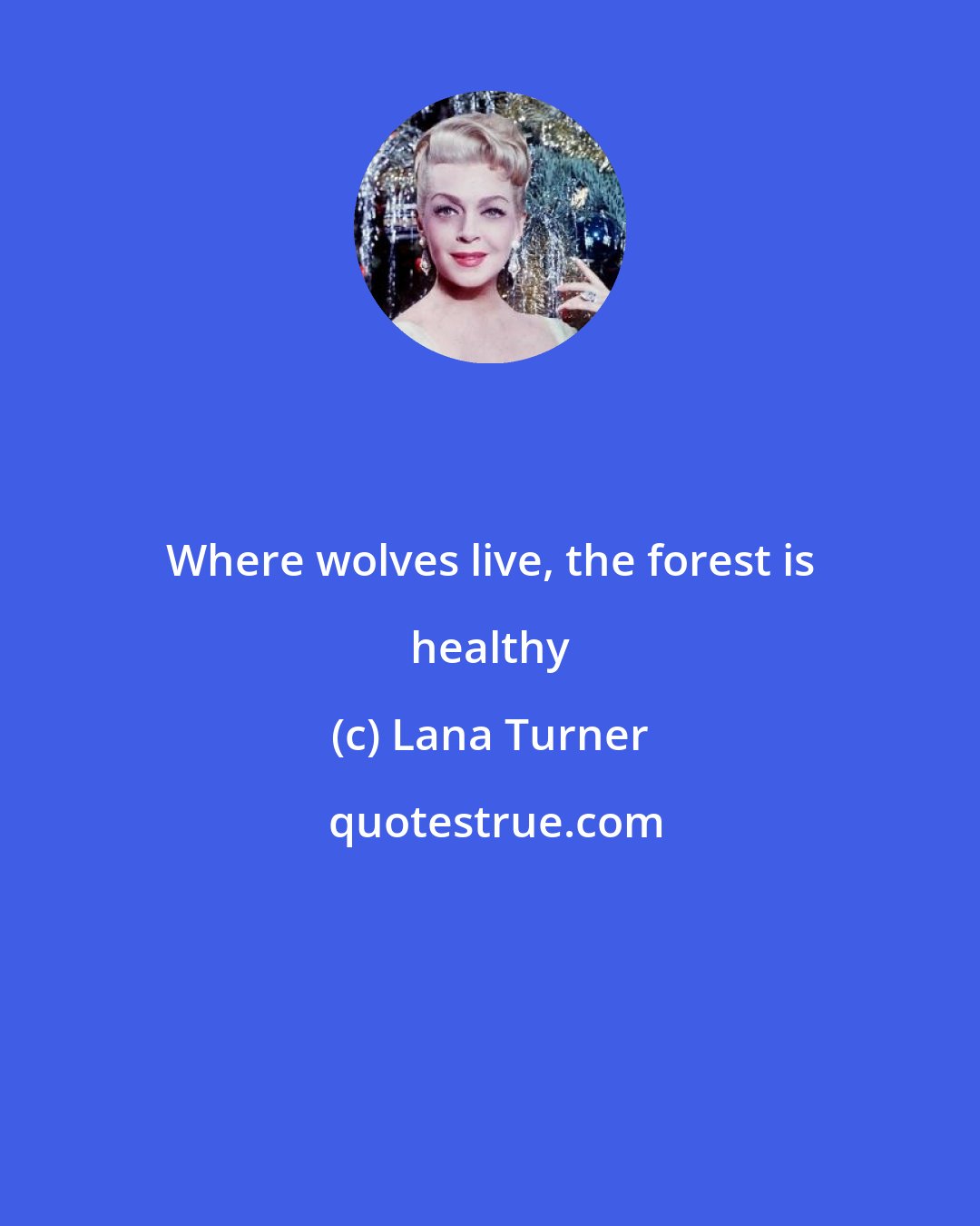 Lana Turner: Where wolves live, the forest is healthy