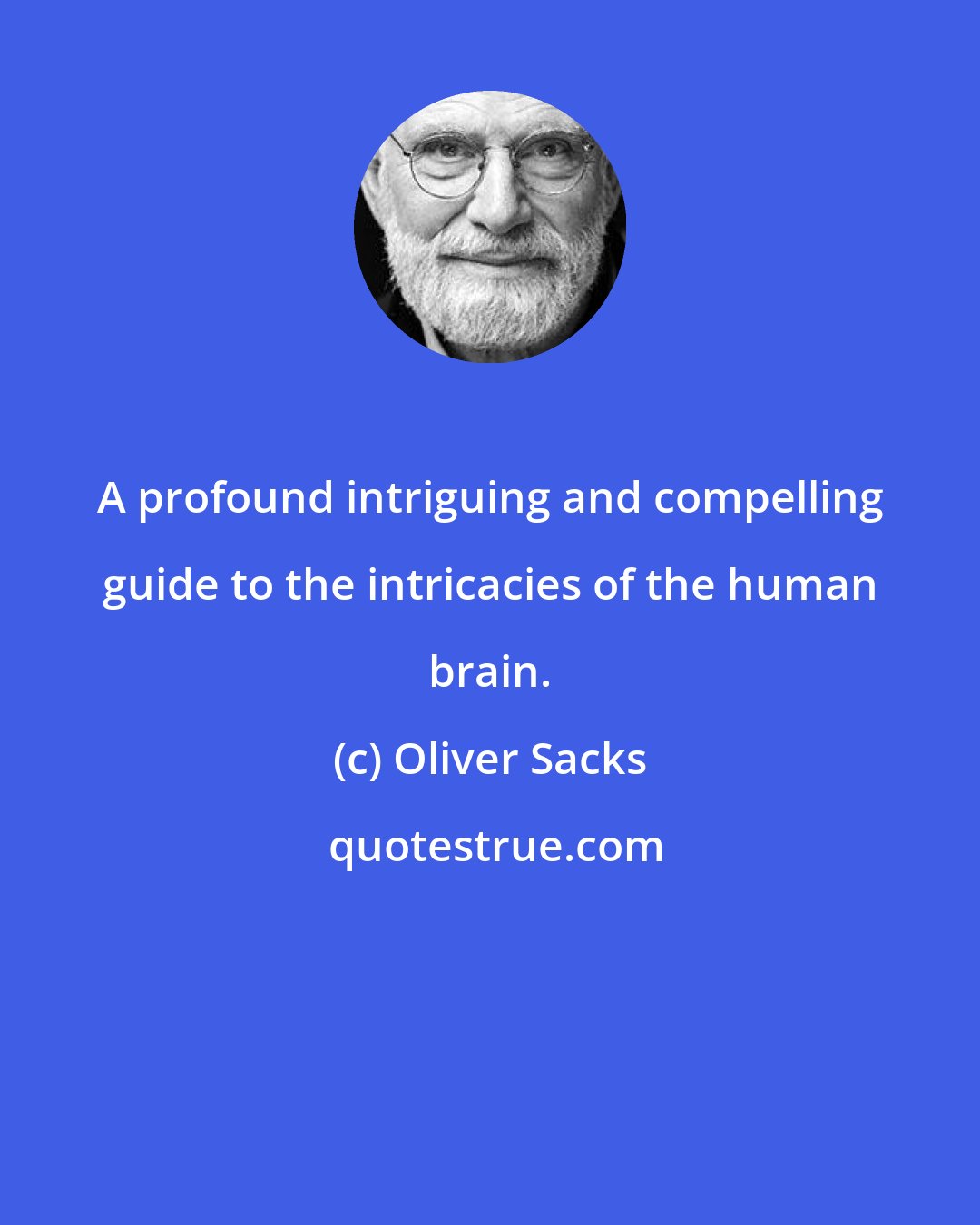 Oliver Sacks: A profound intriguing and compelling guide to the intricacies of the human brain.