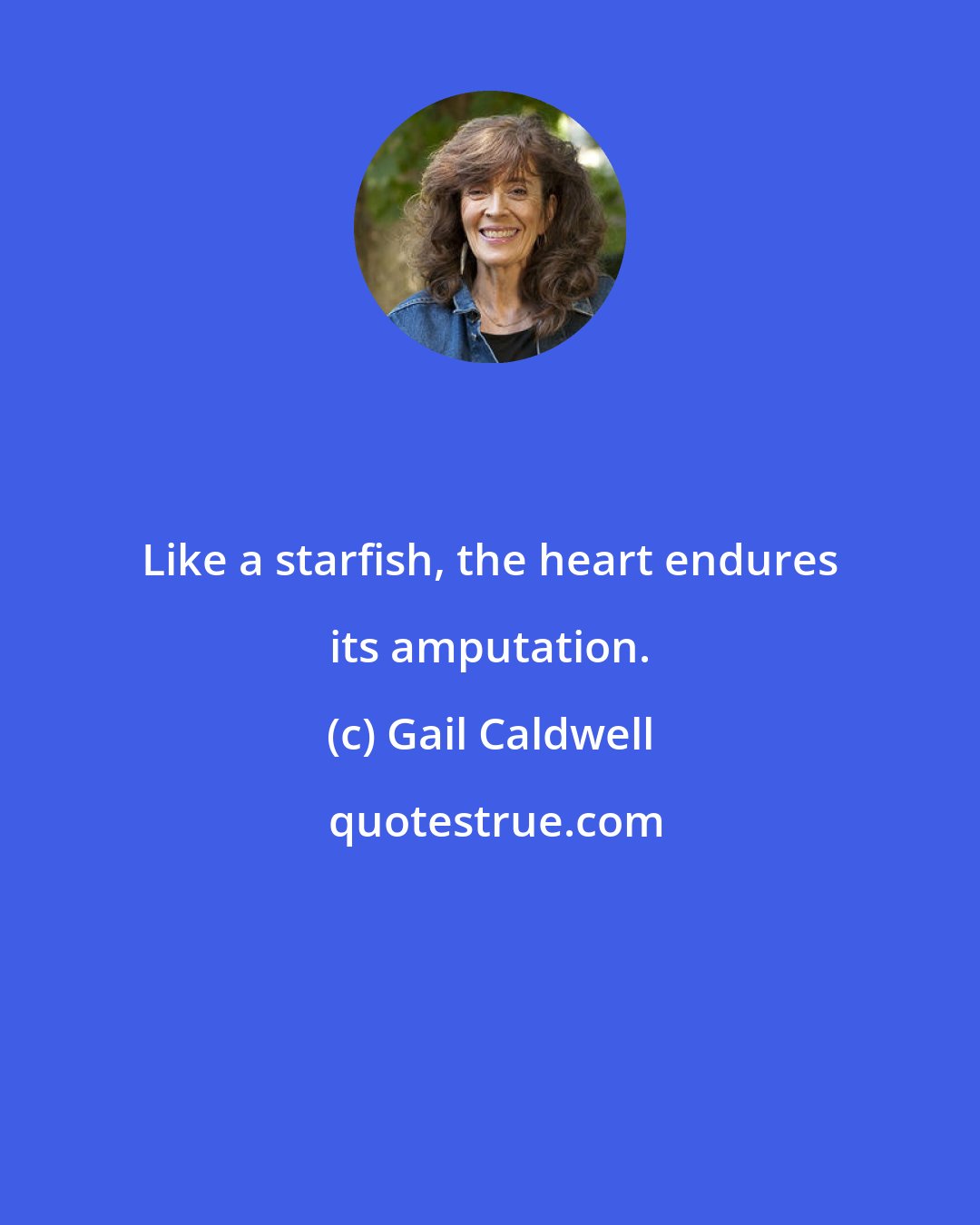 Gail Caldwell: Like a starfish, the heart endures its amputation.
