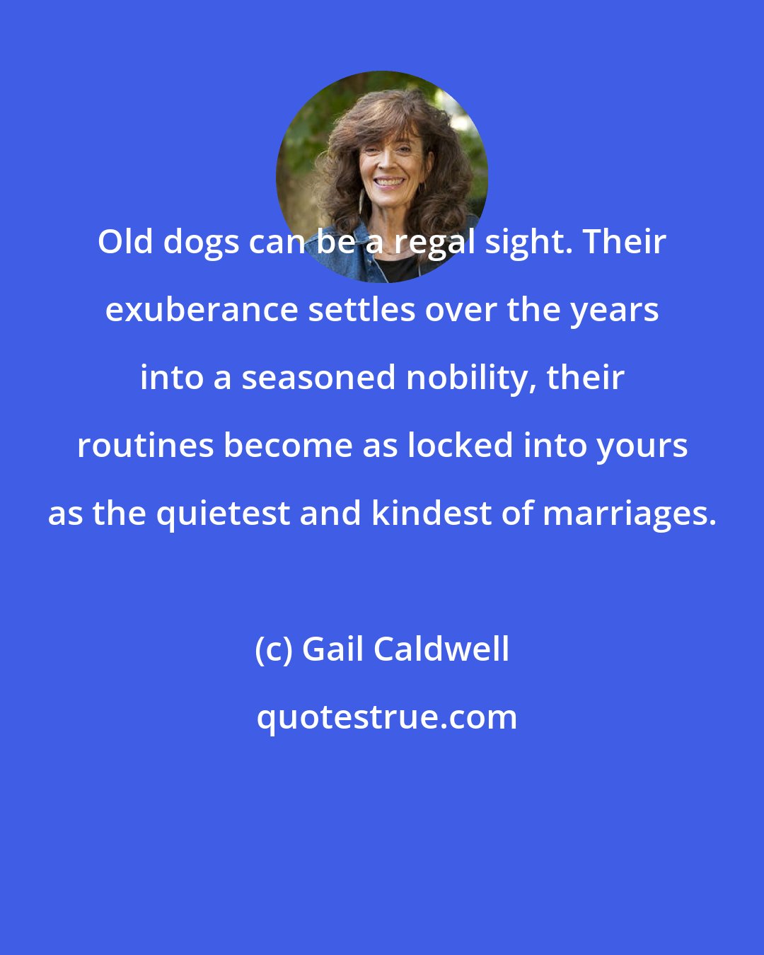 Gail Caldwell: Old dogs can be a regal sight. Their exuberance settles over the years into a seasoned nobility, their routines become as locked into yours as the quietest and kindest of marriages.