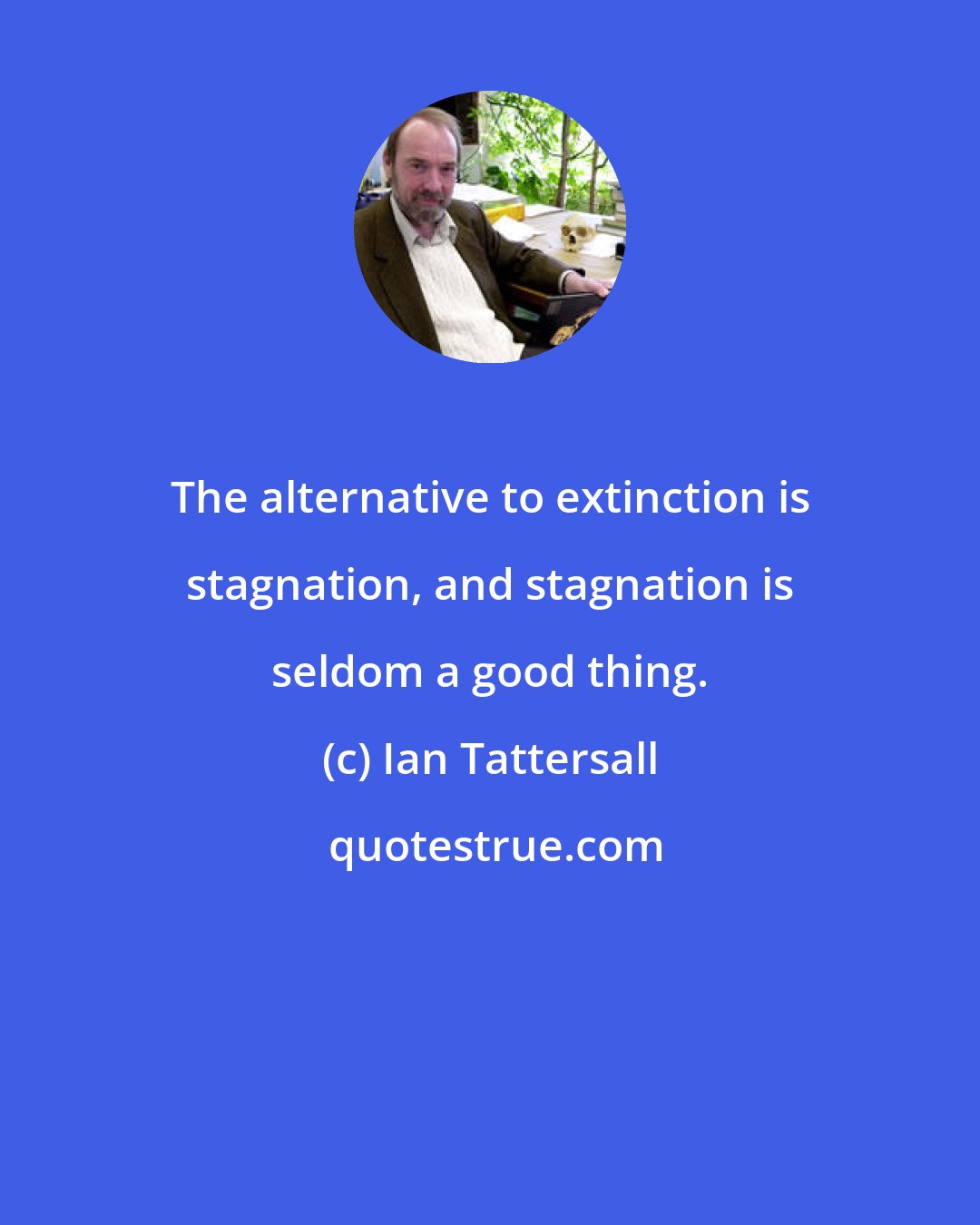 Ian Tattersall: The alternative to extinction is stagnation, and stagnation is seldom a good thing.