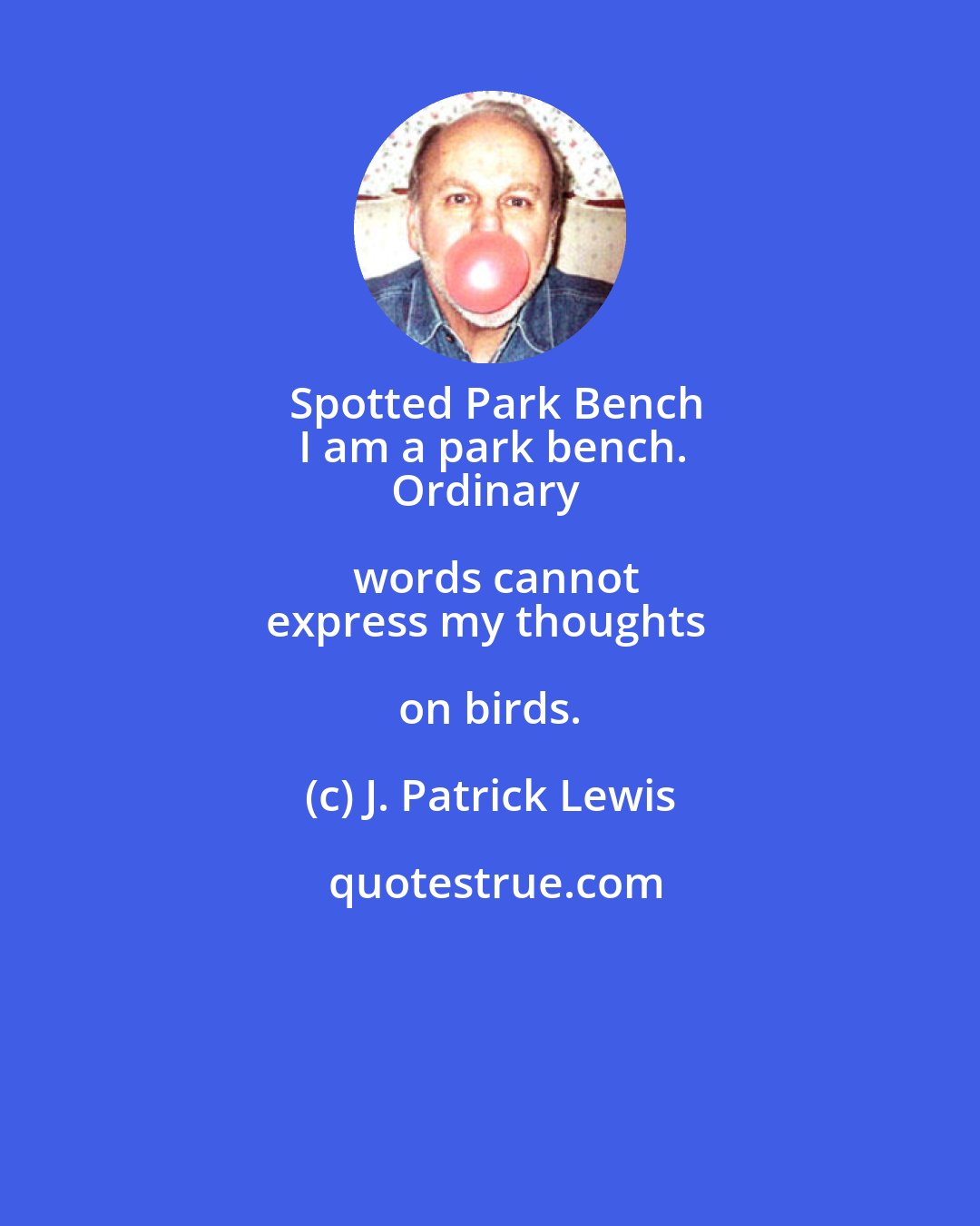 J. Patrick Lewis: Spotted Park Bench
I am a park bench.
Ordinary words cannot
express my thoughts on birds.