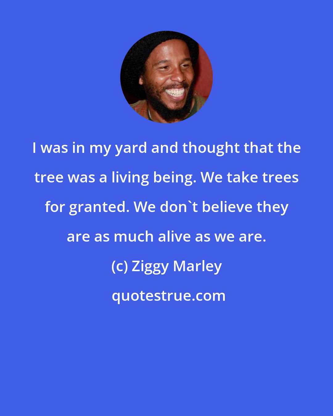 Ziggy Marley: I was in my yard and thought that the tree was a living being. We take trees for granted. We don't believe they are as much alive as we are.