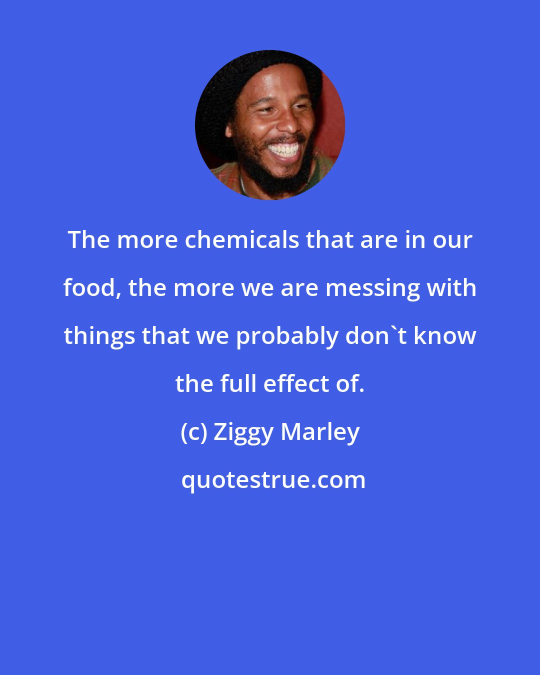 Ziggy Marley: The more chemicals that are in our food, the more we are messing with things that we probably don't know the full effect of.