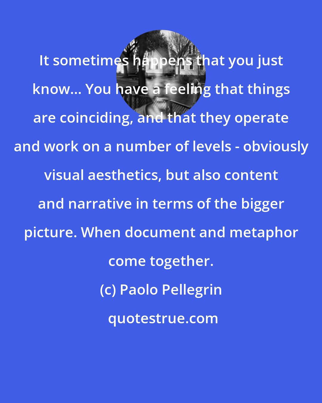 Paolo Pellegrin: It sometimes happens that you just know... You have a feeling that things are coinciding, and that they operate and work on a number of levels - obviously visual aesthetics, but also content and narrative in terms of the bigger picture. When document and metaphor come together.