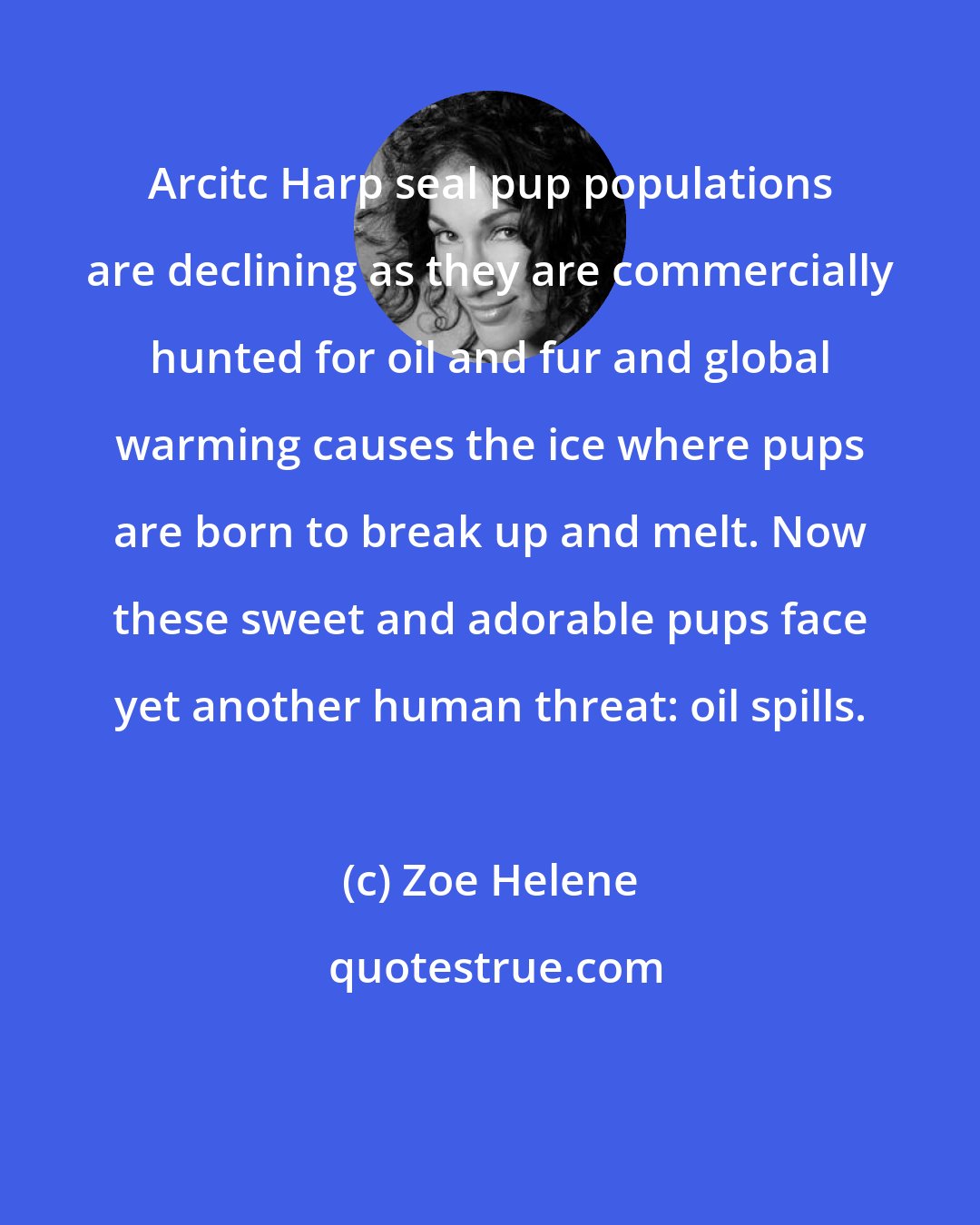 Zoe Helene: Arcitc Harp seal pup populations are declining as they are commercially hunted for oil and fur and global warming causes the ice where pups are born to break up and melt. Now these sweet and adorable pups face yet another human threat: oil spills.