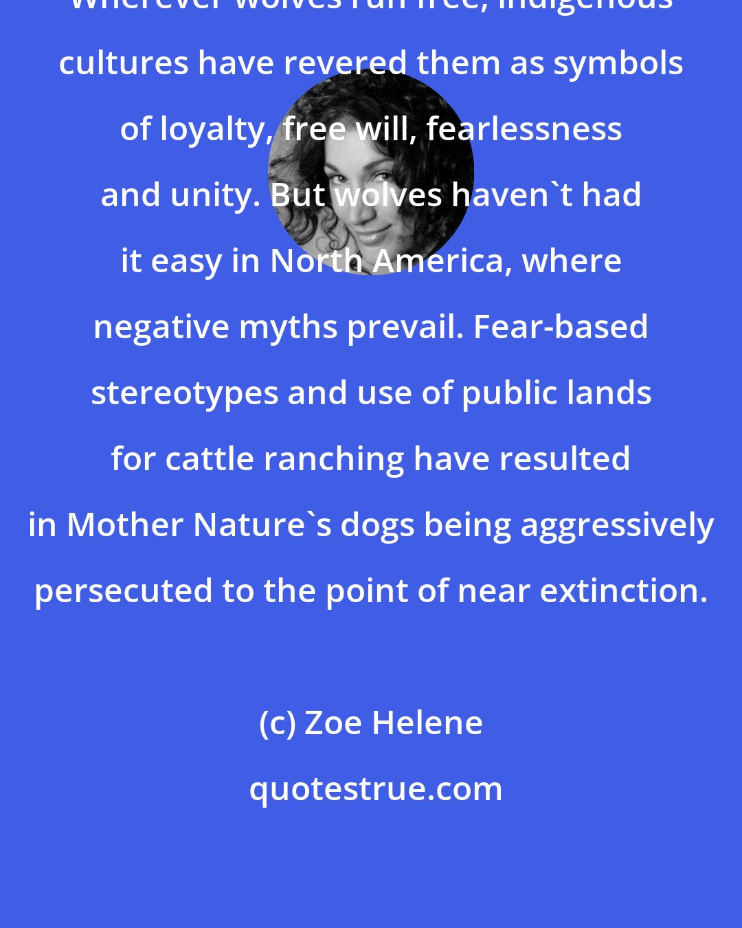 Zoe Helene: Wherever wolves run free, indigenous cultures have revered them as symbols of loyalty, free will, fearlessness and unity. But wolves haven't had it easy in North America, where negative myths prevail. Fear-based stereotypes and use of public lands for cattle ranching have resulted in Mother Nature's dogs being aggressively persecuted to the point of near extinction.