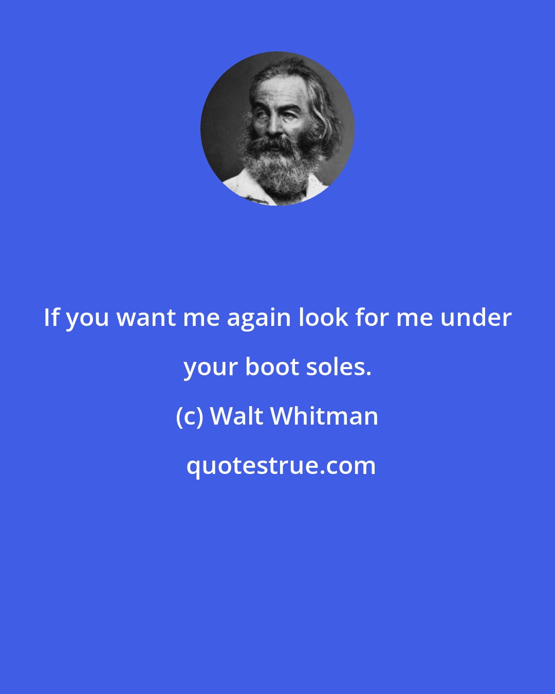Walt Whitman: If you want me again look for me under your boot soles.