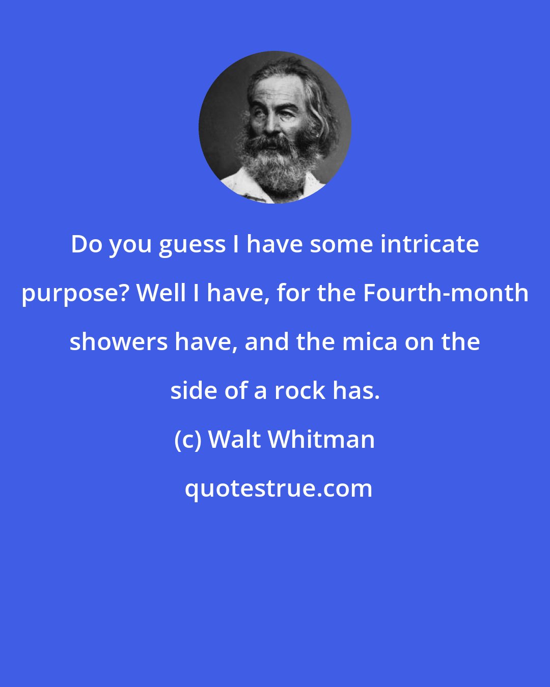 Walt Whitman: Do you guess I have some intricate purpose? Well I have, for the Fourth-month showers have, and the mica on the side of a rock has.