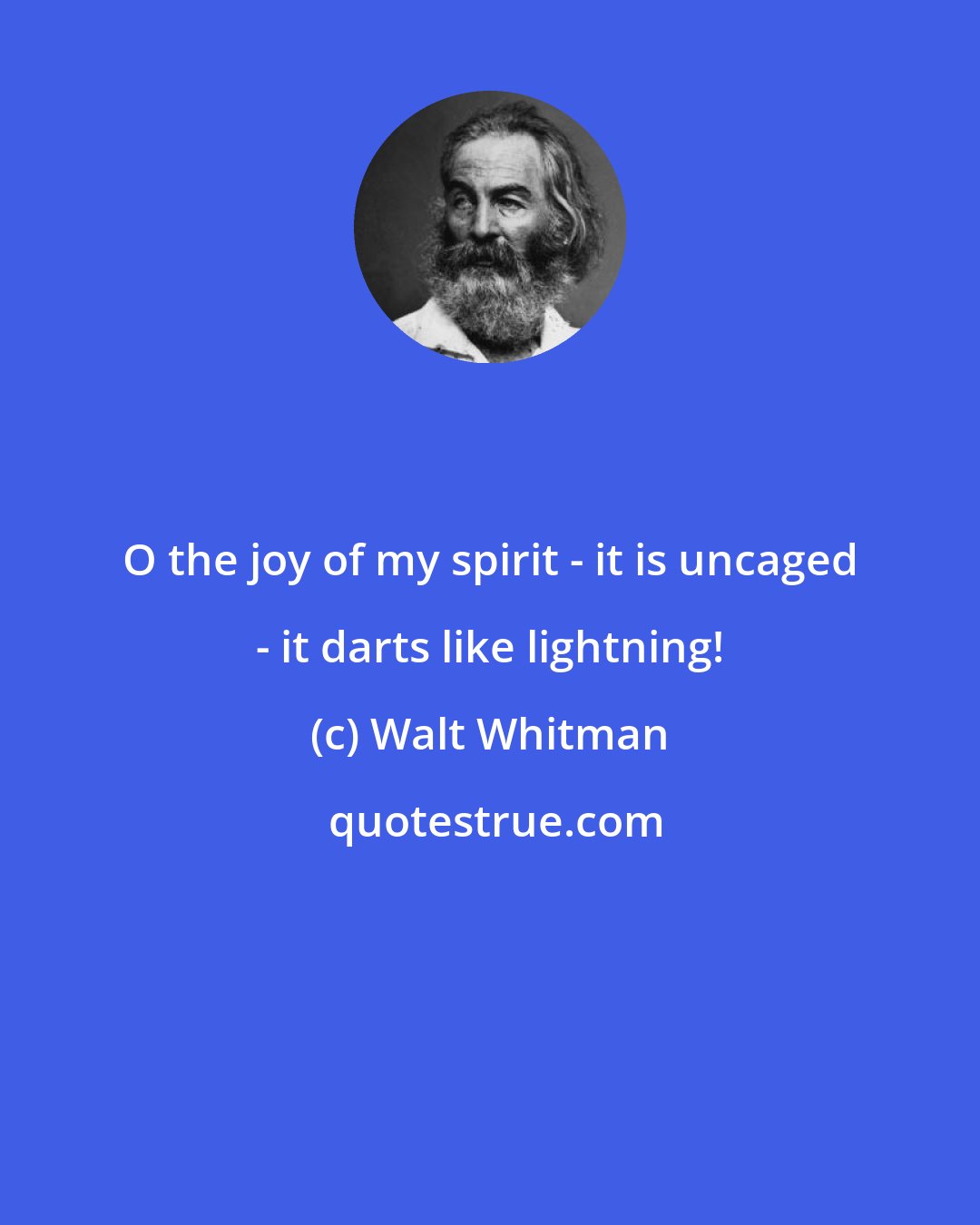 Walt Whitman: O the joy of my spirit - it is uncaged - it darts like lightning!