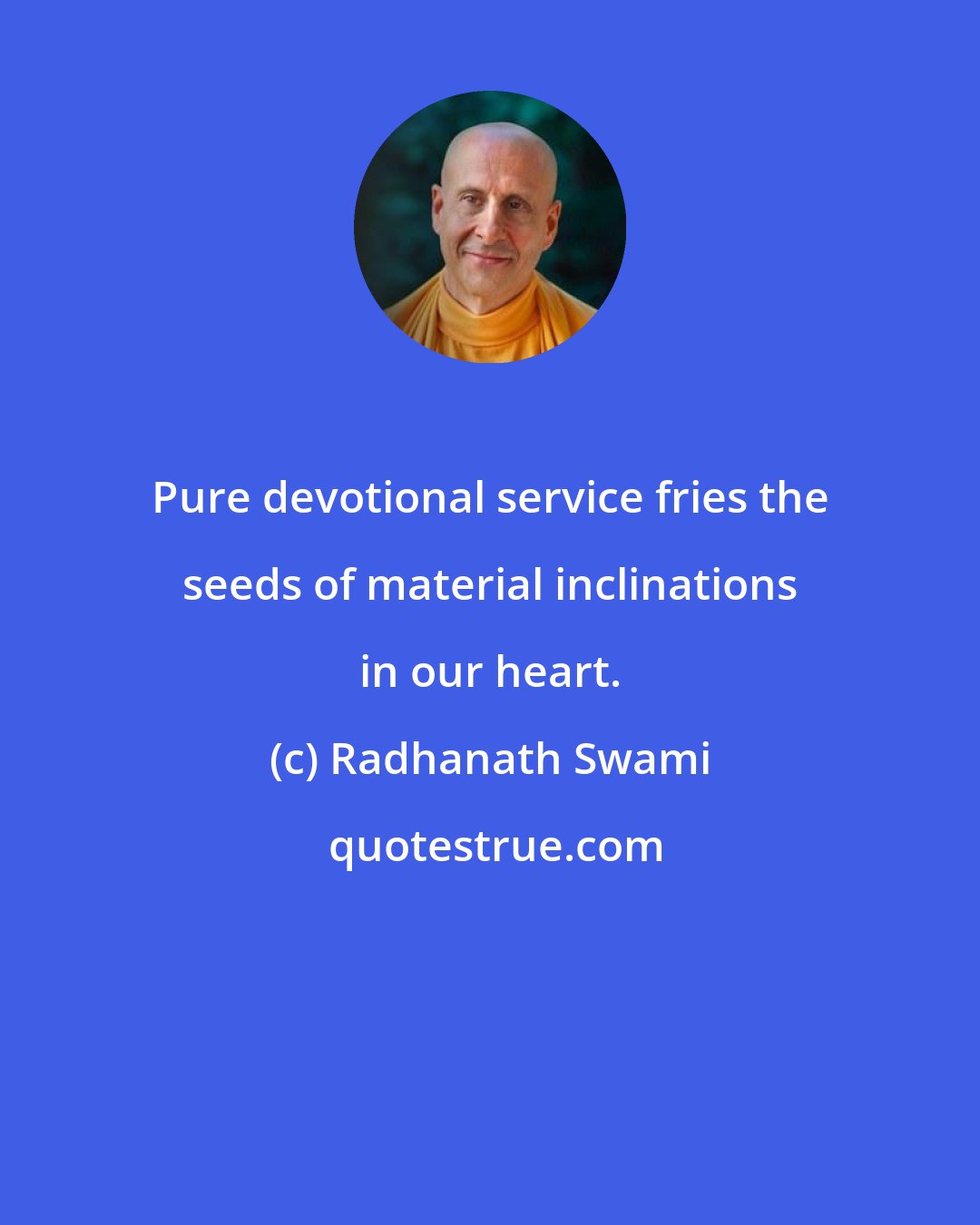 Radhanath Swami: Pure devotional service fries the seeds of material inclinations in our heart.