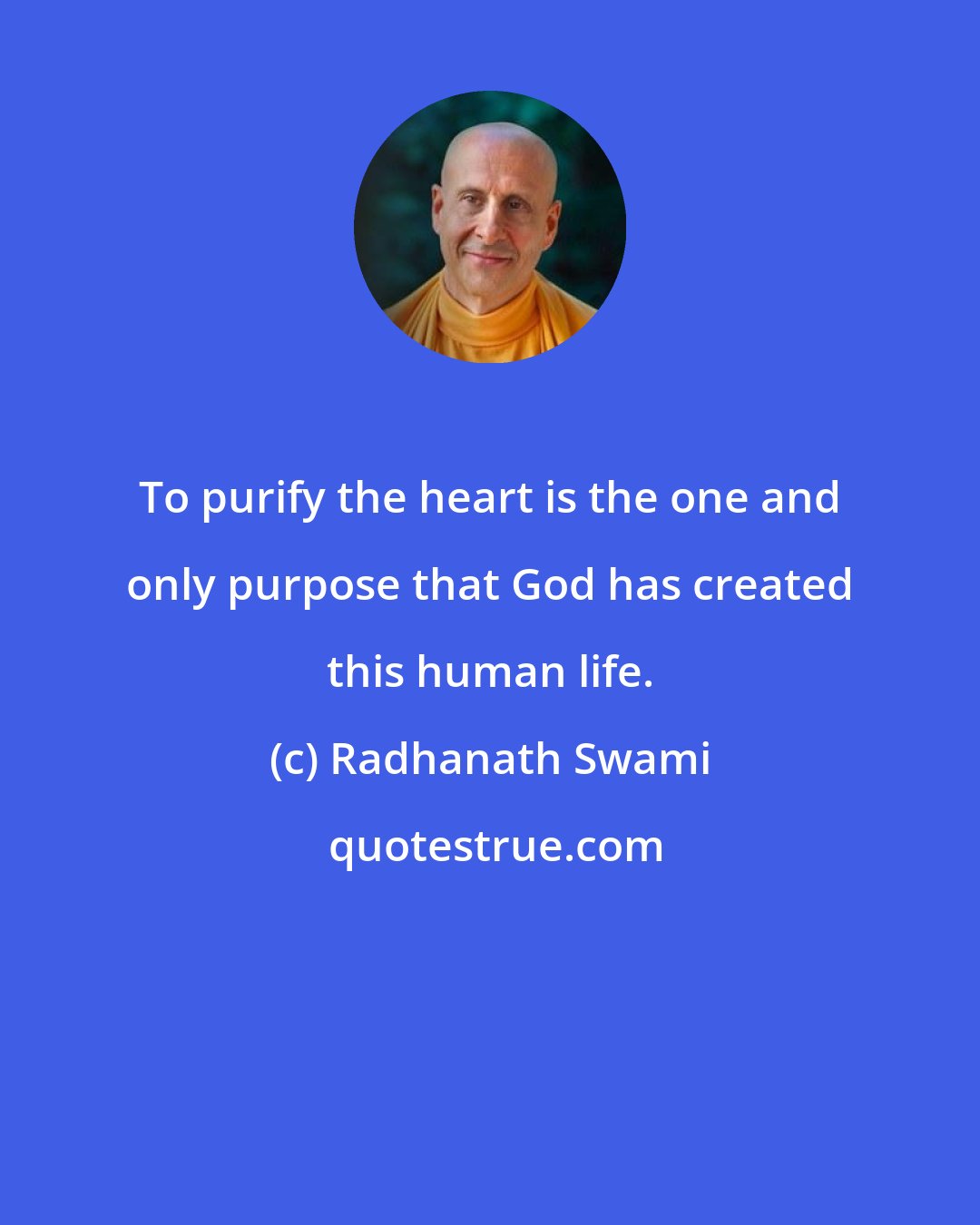 Radhanath Swami: To purify the heart is the one and only purpose that God has created this human life.