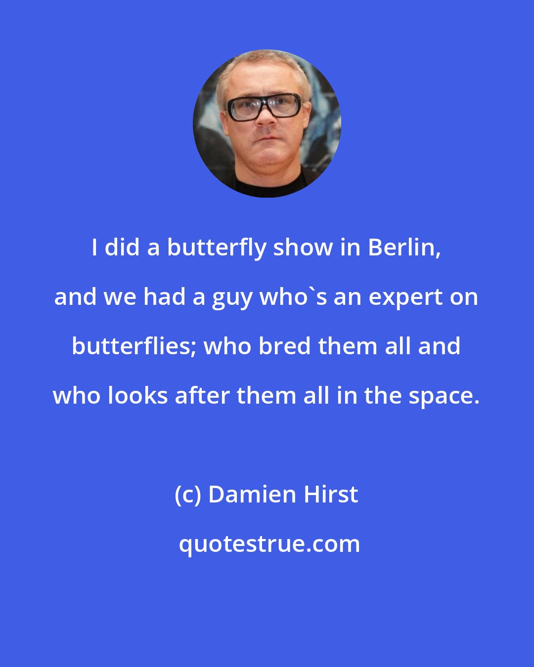 Damien Hirst: I did a butterfly show in Berlin, and we had a guy who's an expert on butterflies; who bred them all and who looks after them all in the space.