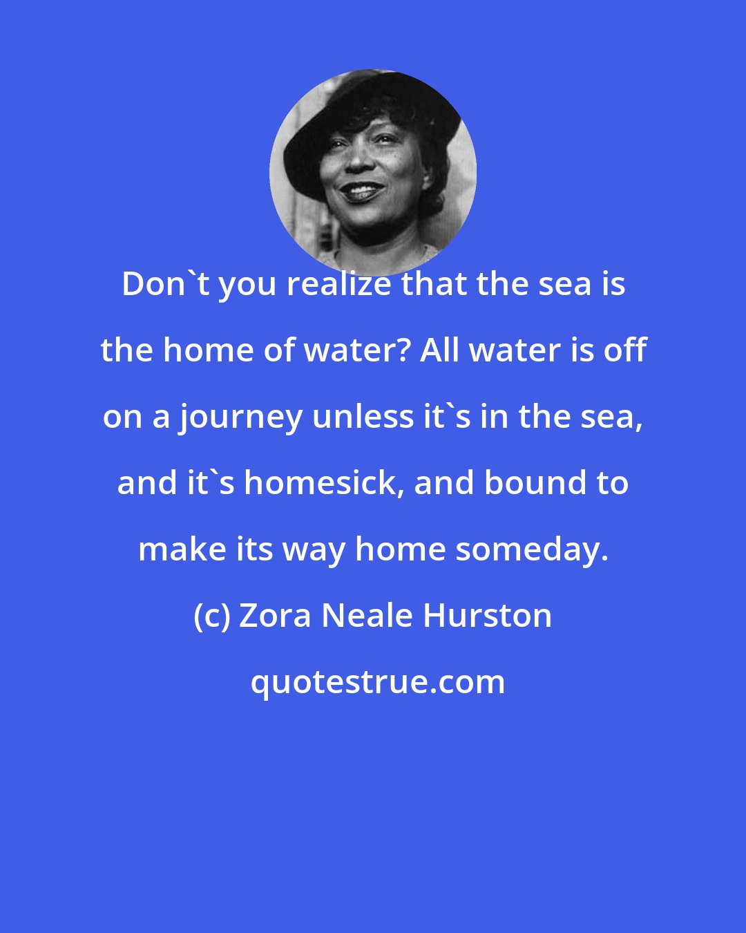 Zora Neale Hurston: Don't you realize that the sea is the home of water? All water is off on a journey unless it's in the sea, and it's homesick, and bound to make its way home someday.