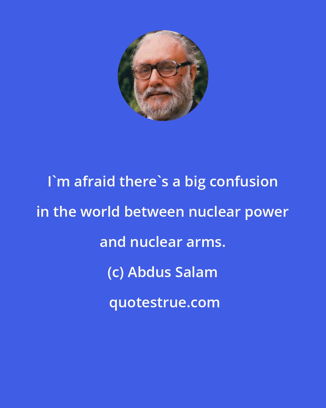 Abdus Salam: I'm afraid there's a big confusion in the world between nuclear power and nuclear arms.