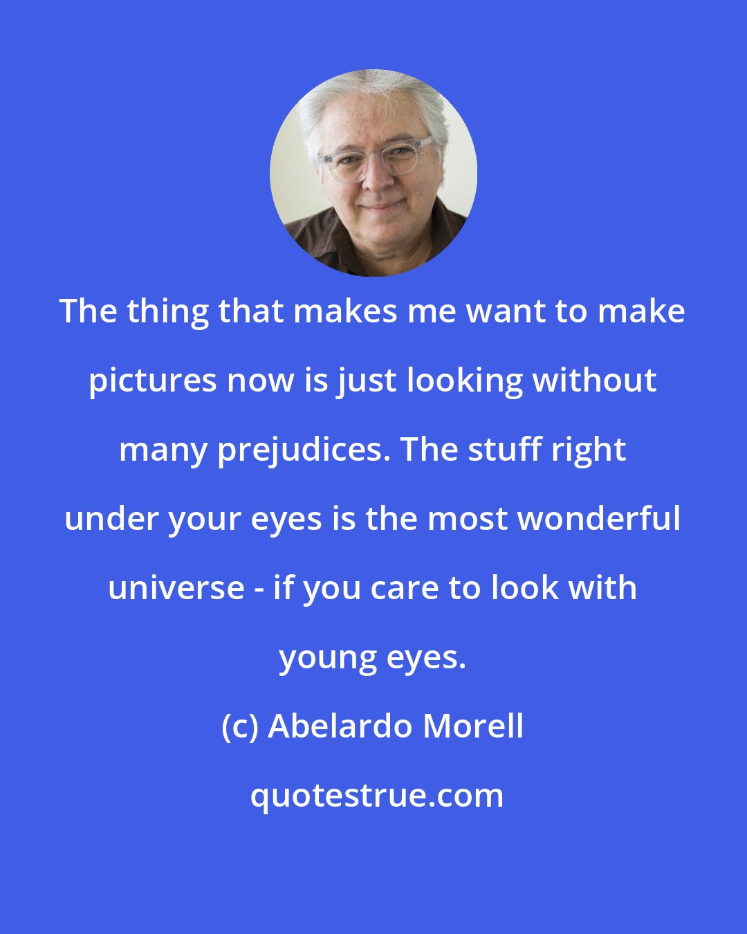 Abelardo Morell: The thing that makes me want to make pictures now is just looking without many prejudices. The stuff right under your eyes is the most wonderful universe - if you care to look with young eyes.