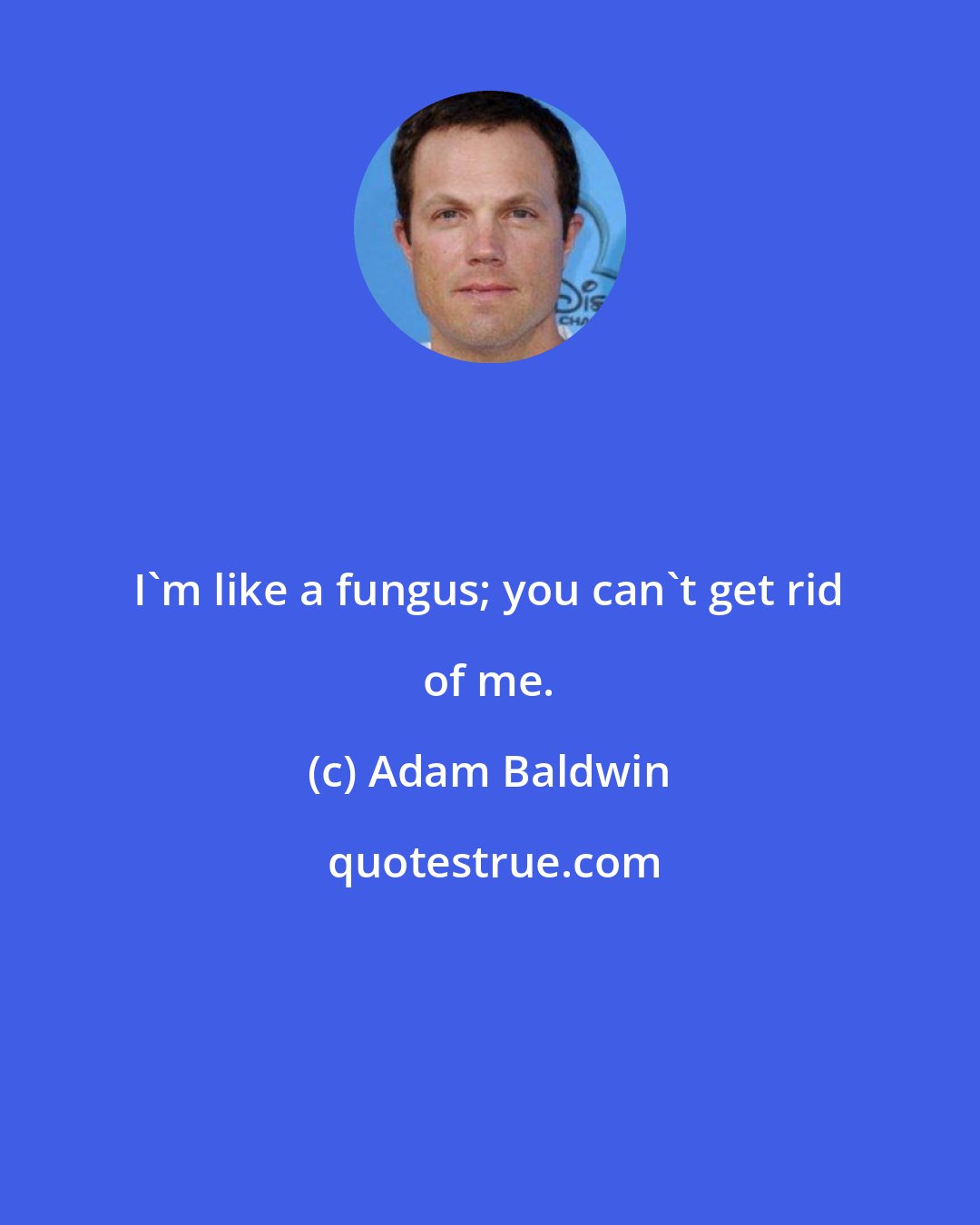 Adam Baldwin: I'm like a fungus; you can't get rid of me.