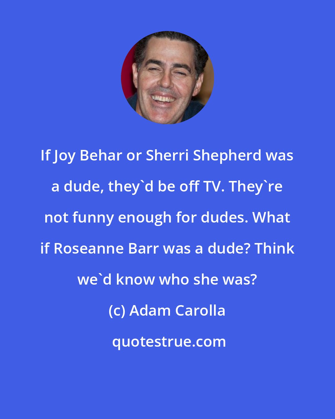 Adam Carolla: If Joy Behar or Sherri Shepherd was a dude, they'd be off TV. They're not funny enough for dudes. What if Roseanne Barr was a dude? Think we'd know who she was?