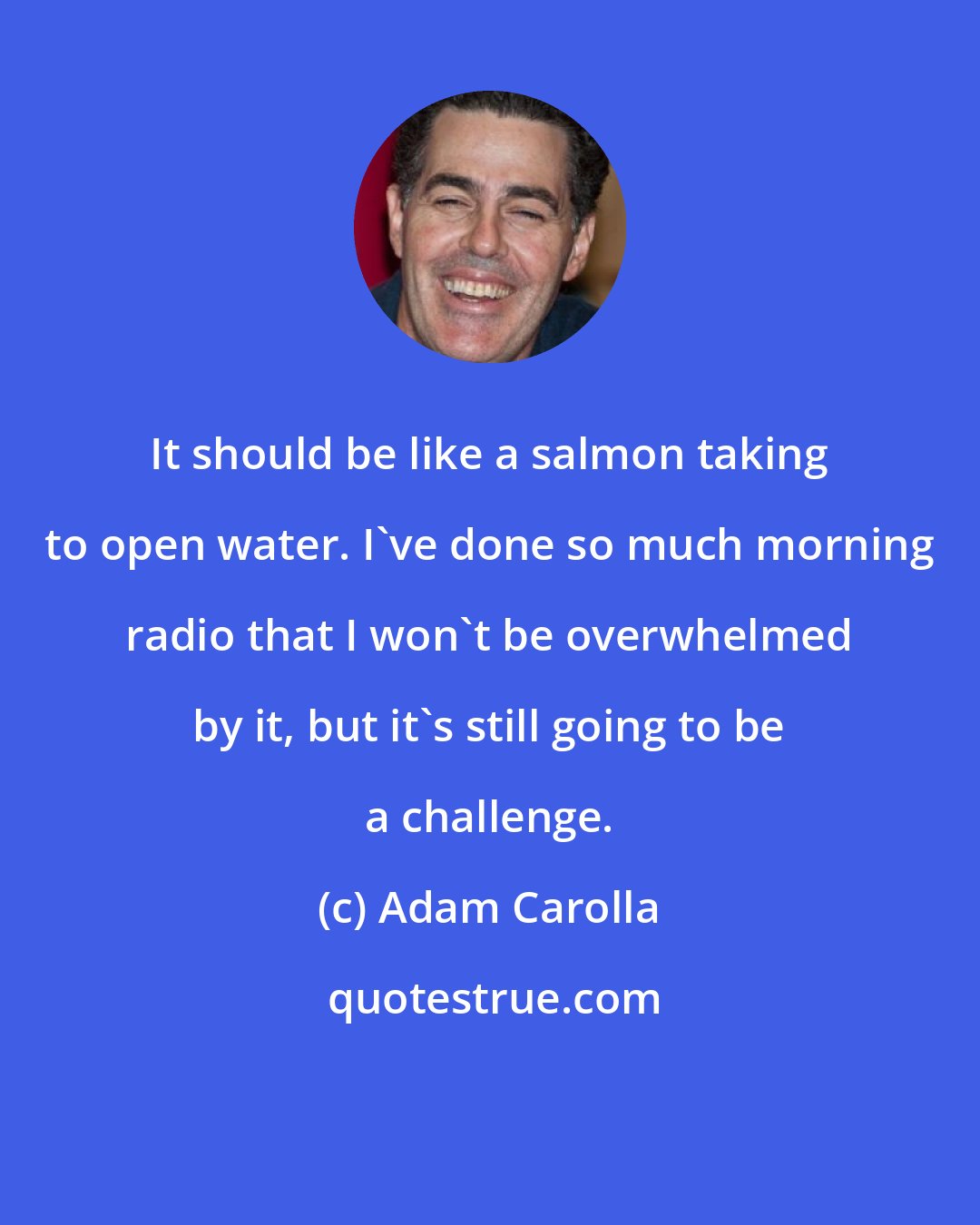 Adam Carolla: It should be like a salmon taking to open water. I've done so much morning radio that I won't be overwhelmed by it, but it's still going to be a challenge.