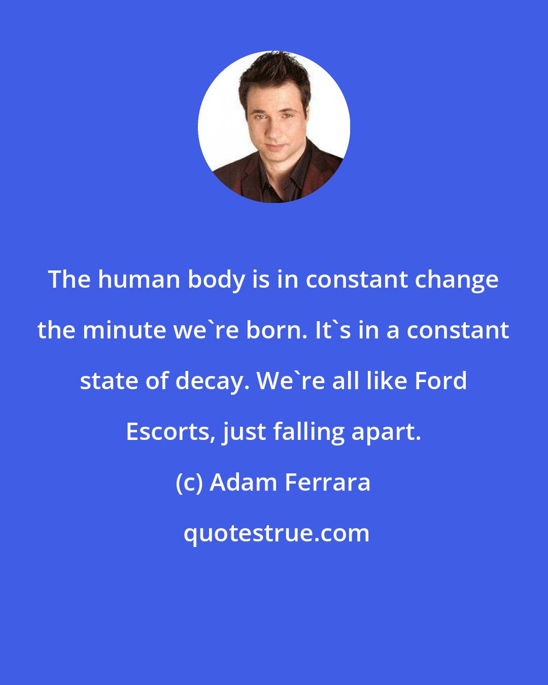 Adam Ferrara: The human body is in constant change the minute we're born. It's in a constant state of decay. We're all like Ford Escorts, just falling apart.