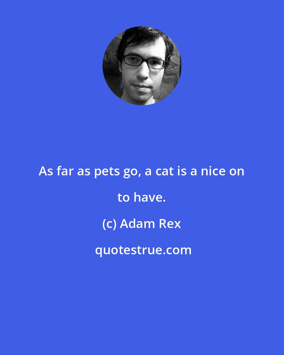 Adam Rex: As far as pets go, a cat is a nice on to have.