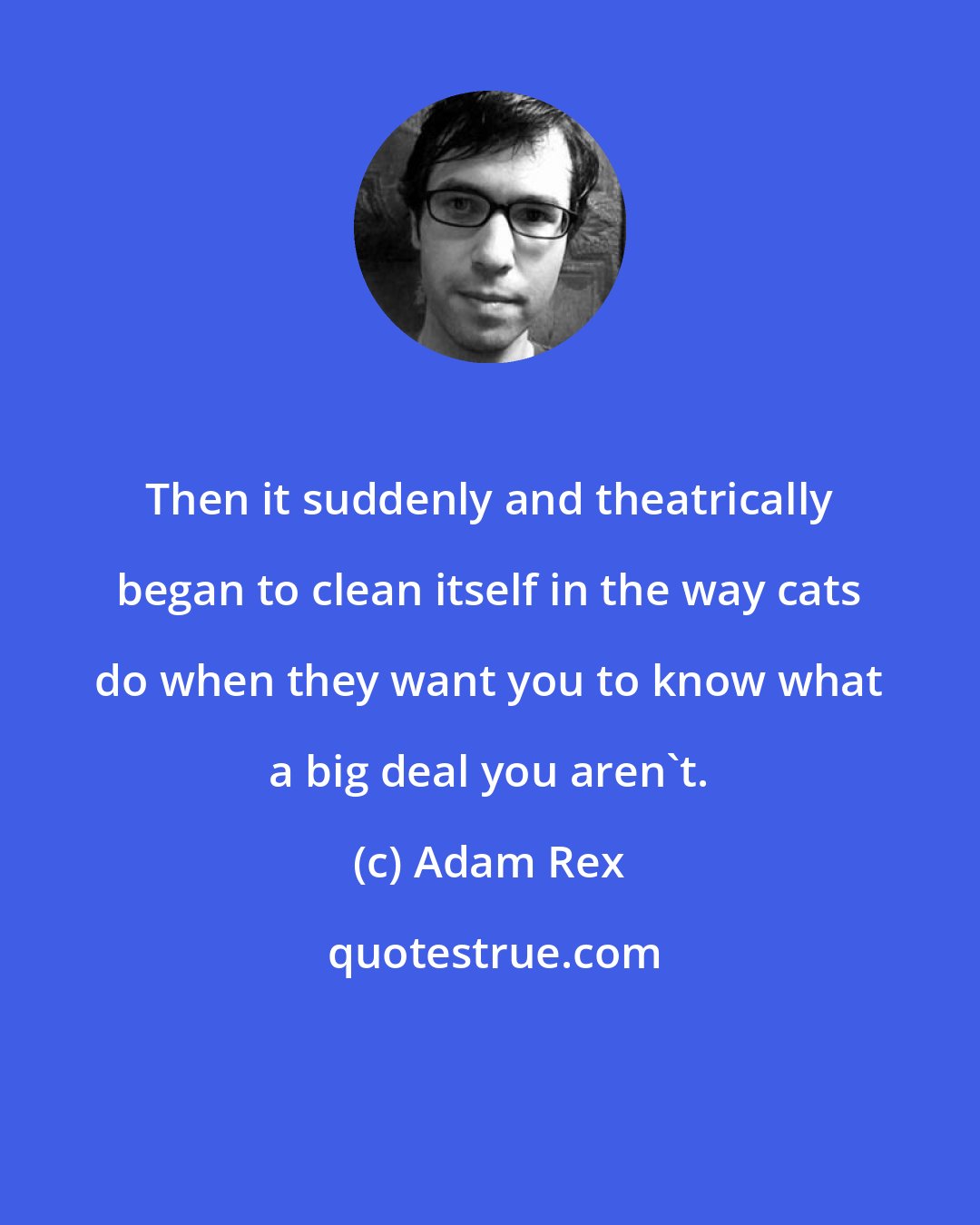 Adam Rex: Then it suddenly and theatrically began to clean itself in the way cats do when they want you to know what a big deal you aren't.