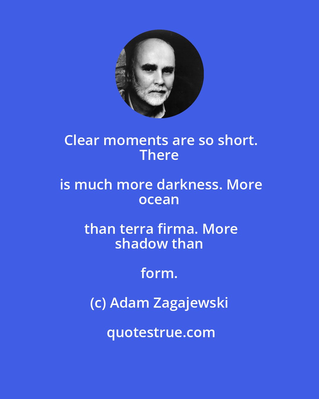 Adam Zagajewski: Clear moments are so short.
 There is much more darkness. More
 ocean than terra firma. More
 shadow than form.