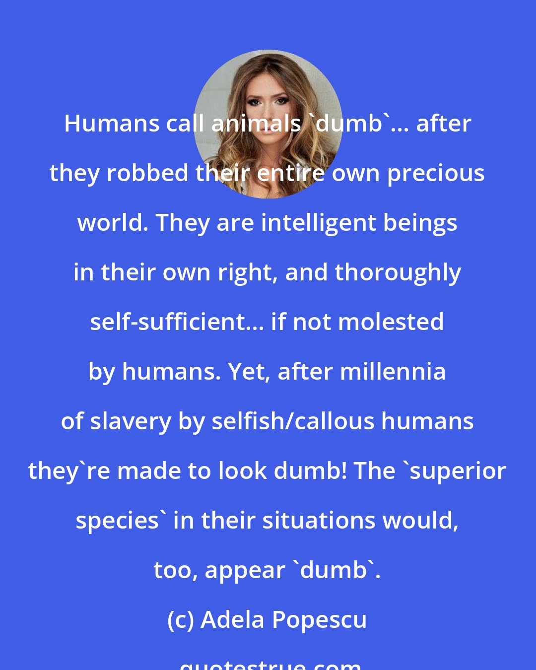 Adela Popescu: Humans call animals 'dumb'... after they robbed their entire own precious world. They are intelligent beings in their own right, and thoroughly self-sufficient... if not molested by humans. Yet, after millennia of slavery by selfish/callous humans they're made to look dumb! The 'superior species' in their situations would, too, appear 'dumb'.