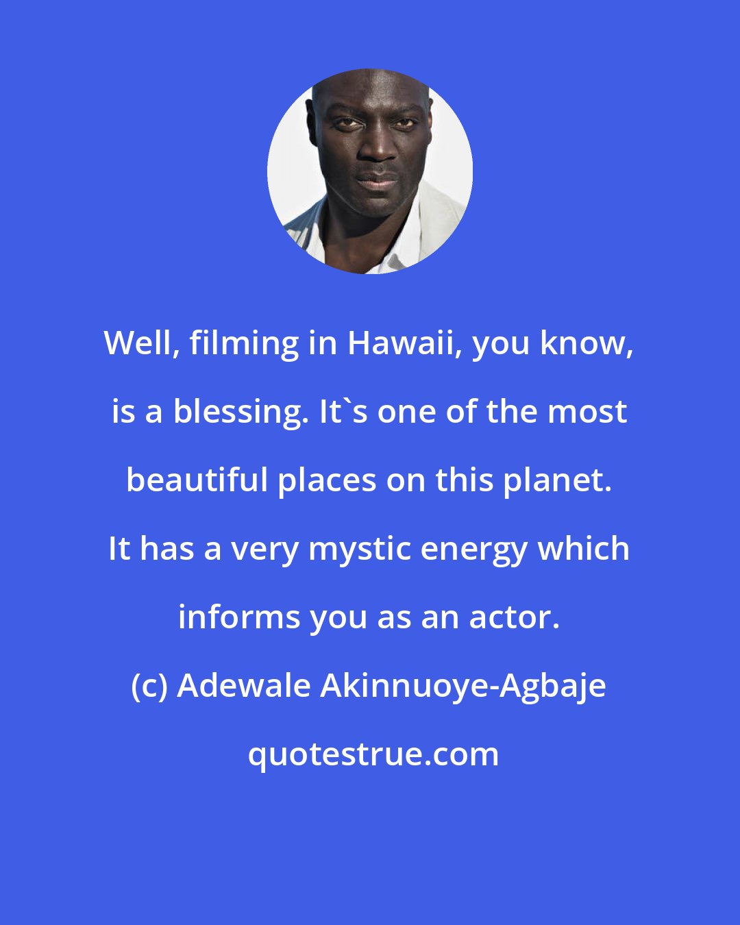 Adewale Akinnuoye-Agbaje: Well, filming in Hawaii, you know, is a blessing. It's one of the most beautiful places on this planet. It has a very mystic energy which informs you as an actor.