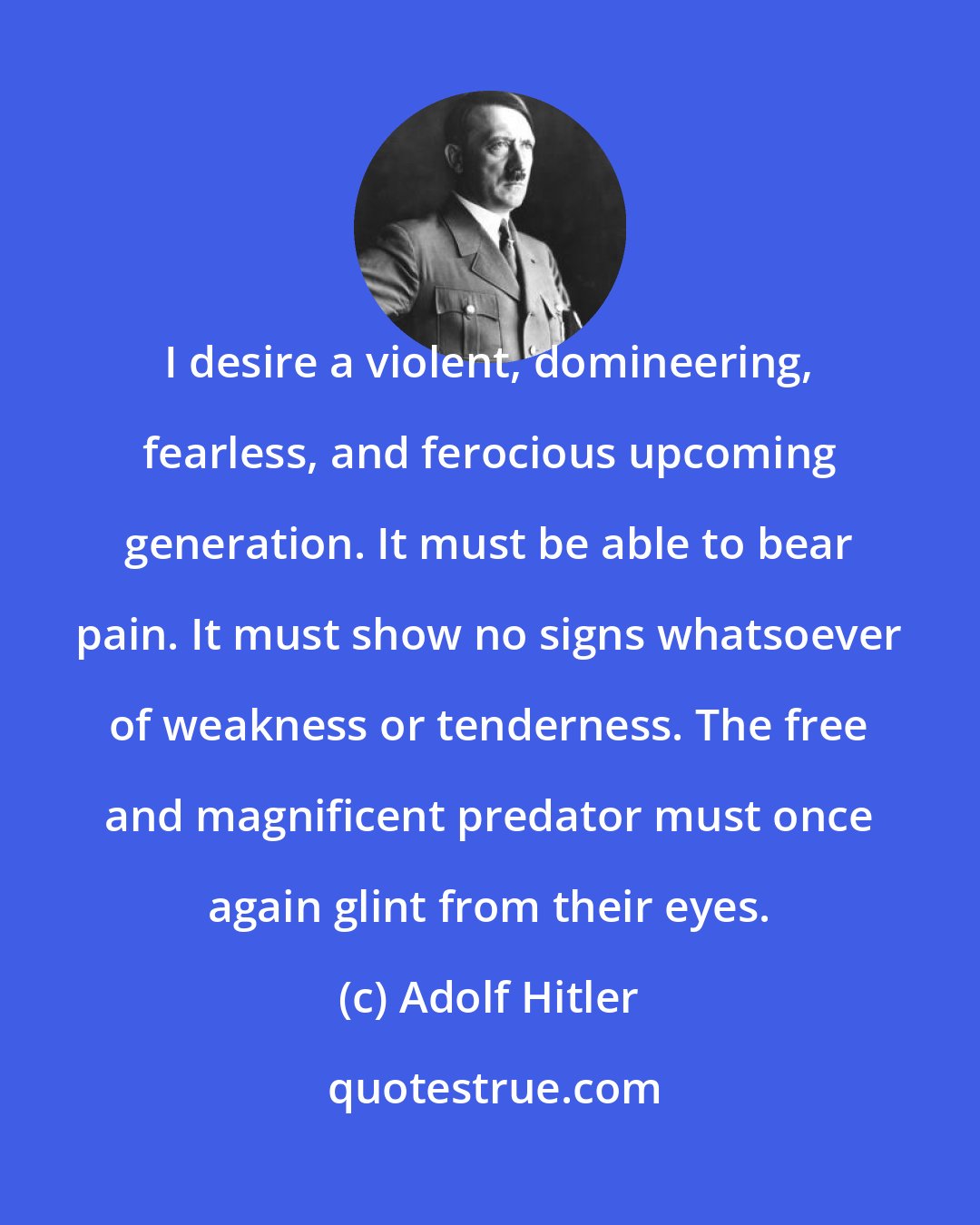 Adolf Hitler: I desire a violent, domineering, fearless, and ferocious upcoming generation. It must be able to bear pain. It must show no signs whatsoever of weakness or tenderness. The free and magnificent predator must once again glint from their eyes.