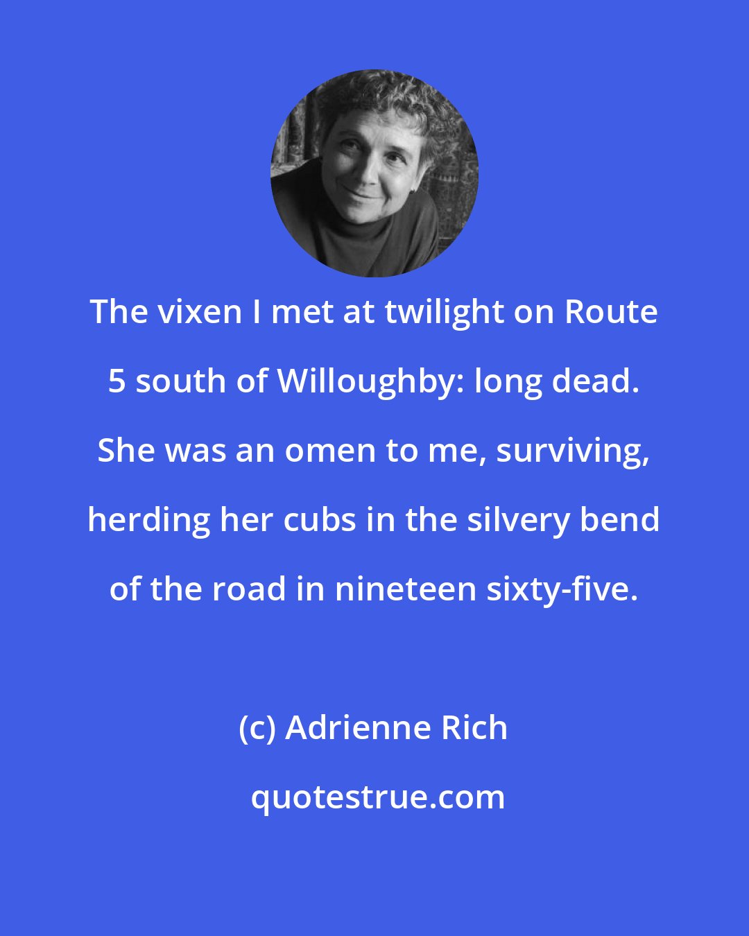 Adrienne Rich: The vixen I met at twilight on Route 5 south of Willoughby: long dead. She was an omen to me, surviving, herding her cubs in the silvery bend of the road in nineteen sixty-five.