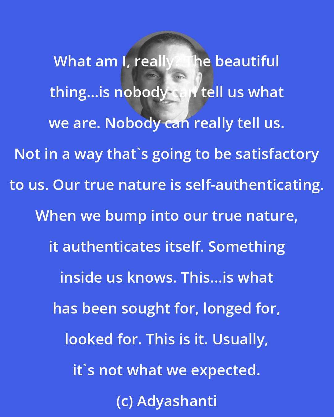 Adyashanti: What am I, really? The beautiful thing...is nobody can tell us what we are. Nobody can really tell us. Not in a way that's going to be satisfactory to us. Our true nature is self-authenticating. When we bump into our true nature, it authenticates itself. Something inside us knows. This...is what has been sought for, longed for, looked for. This is it. Usually, it's not what we expected.