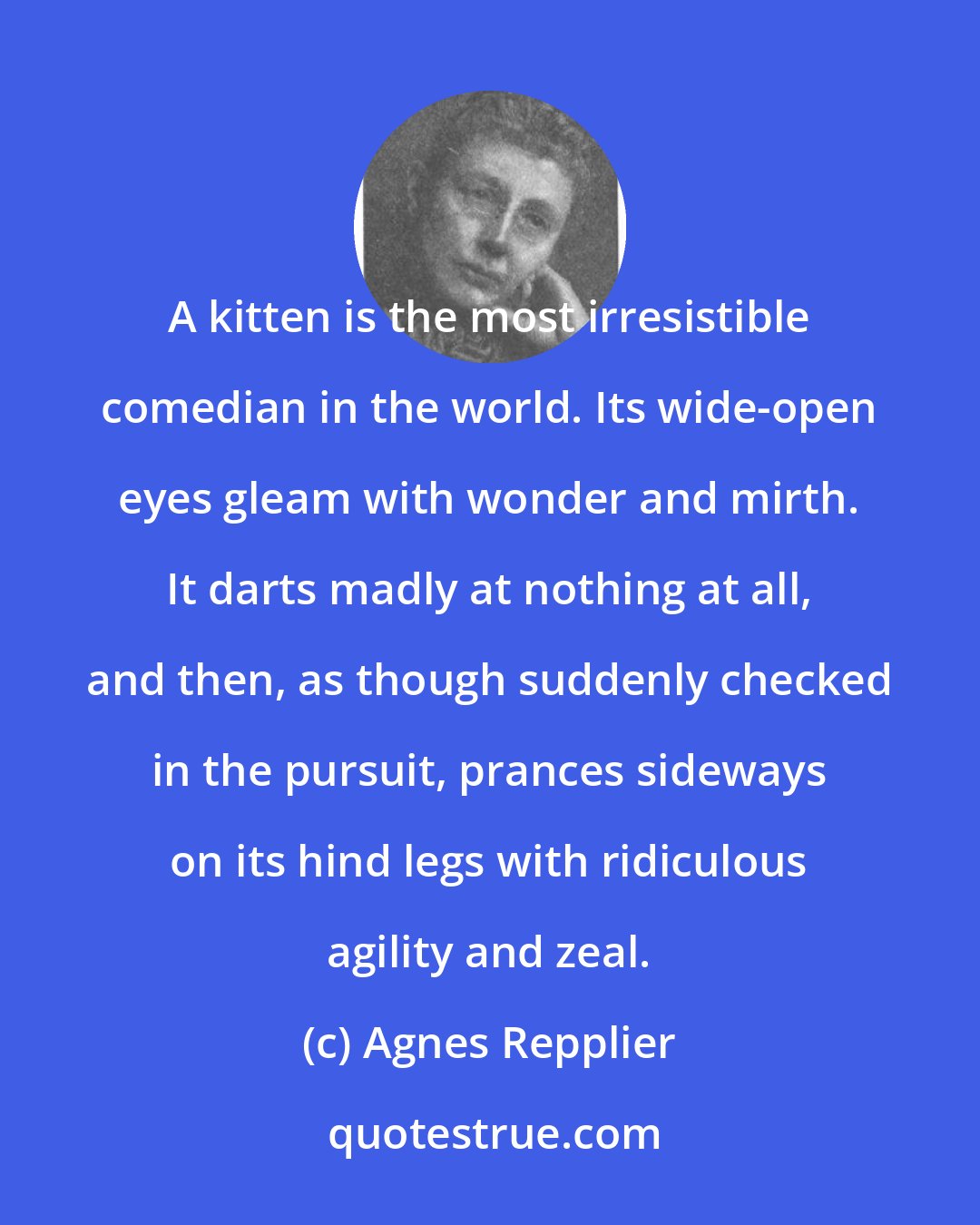 Agnes Repplier: A kitten is the most irresistible comedian in the world. Its wide-open eyes gleam with wonder and mirth. It darts madly at nothing at all, and then, as though suddenly checked in the pursuit, prances sideways on its hind legs with ridiculous agility and zeal.