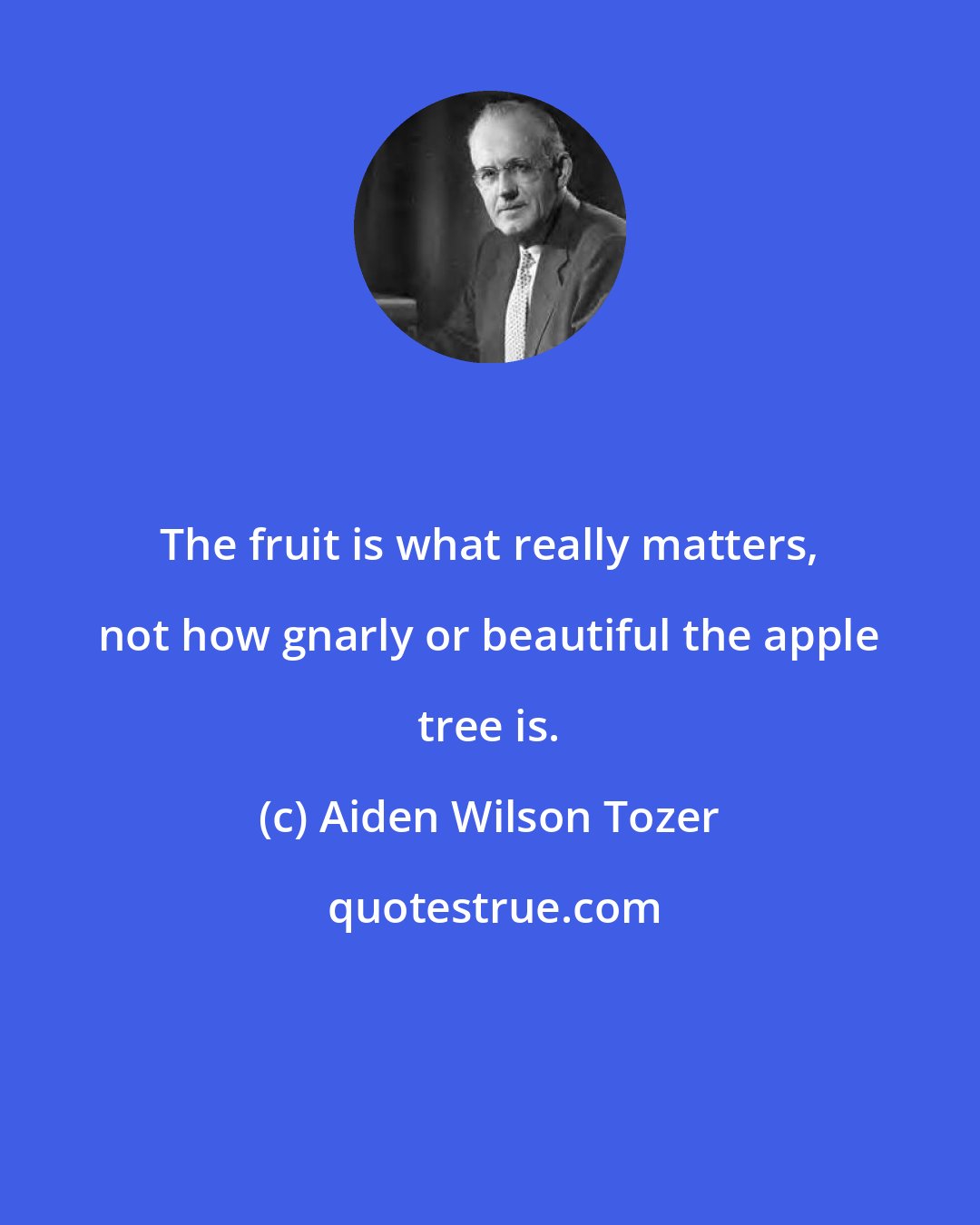 Aiden Wilson Tozer: The fruit is what really matters, not how gnarly or beautiful the apple tree is.