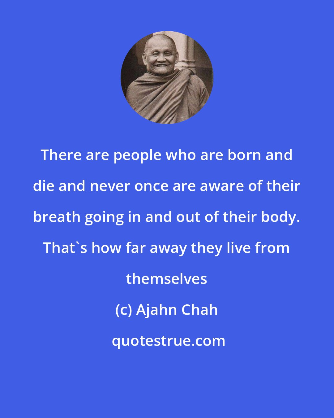 Ajahn Chah: There are people who are born and die and never once are aware of their breath going in and out of their body. That's how far away they live from themselves