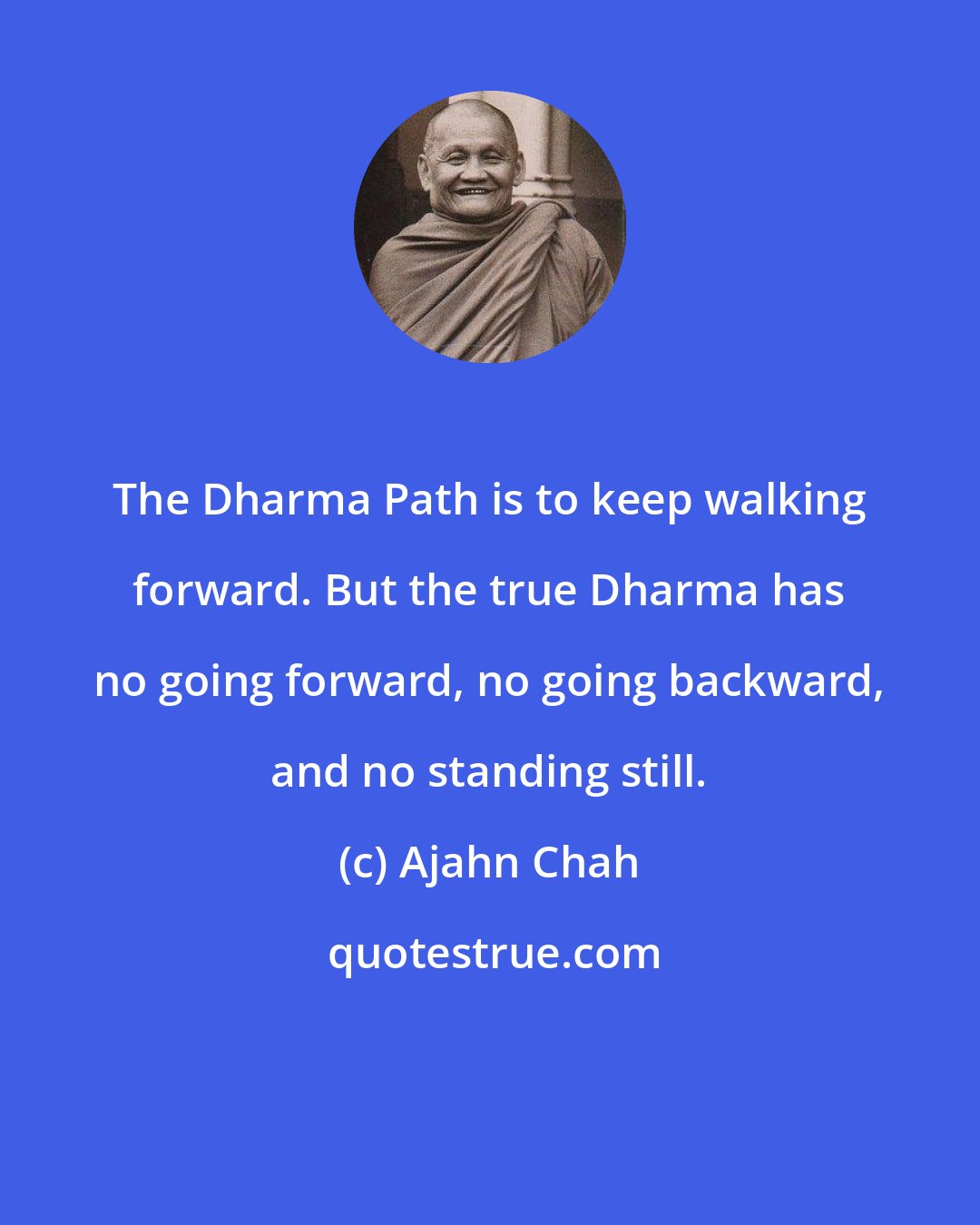 Ajahn Chah: The Dharma Path is to keep walking forward. But the true Dharma has no going forward, no going backward, and no standing still.