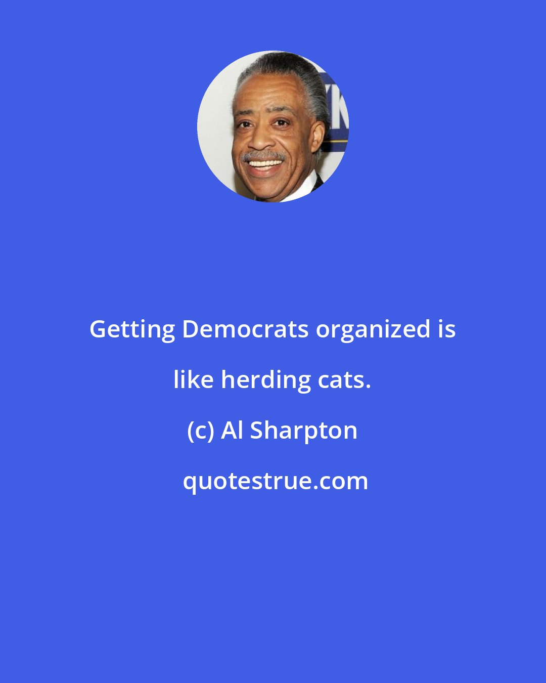 Al Sharpton: Getting Democrats organized is like herding cats.