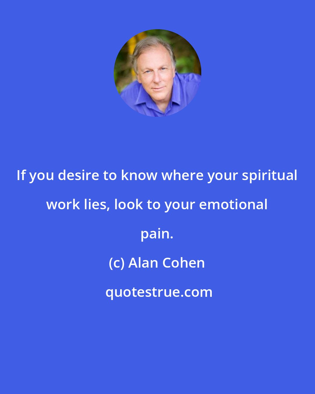 Alan Cohen: If you desire to know where your spiritual work lies, look to your emotional pain.