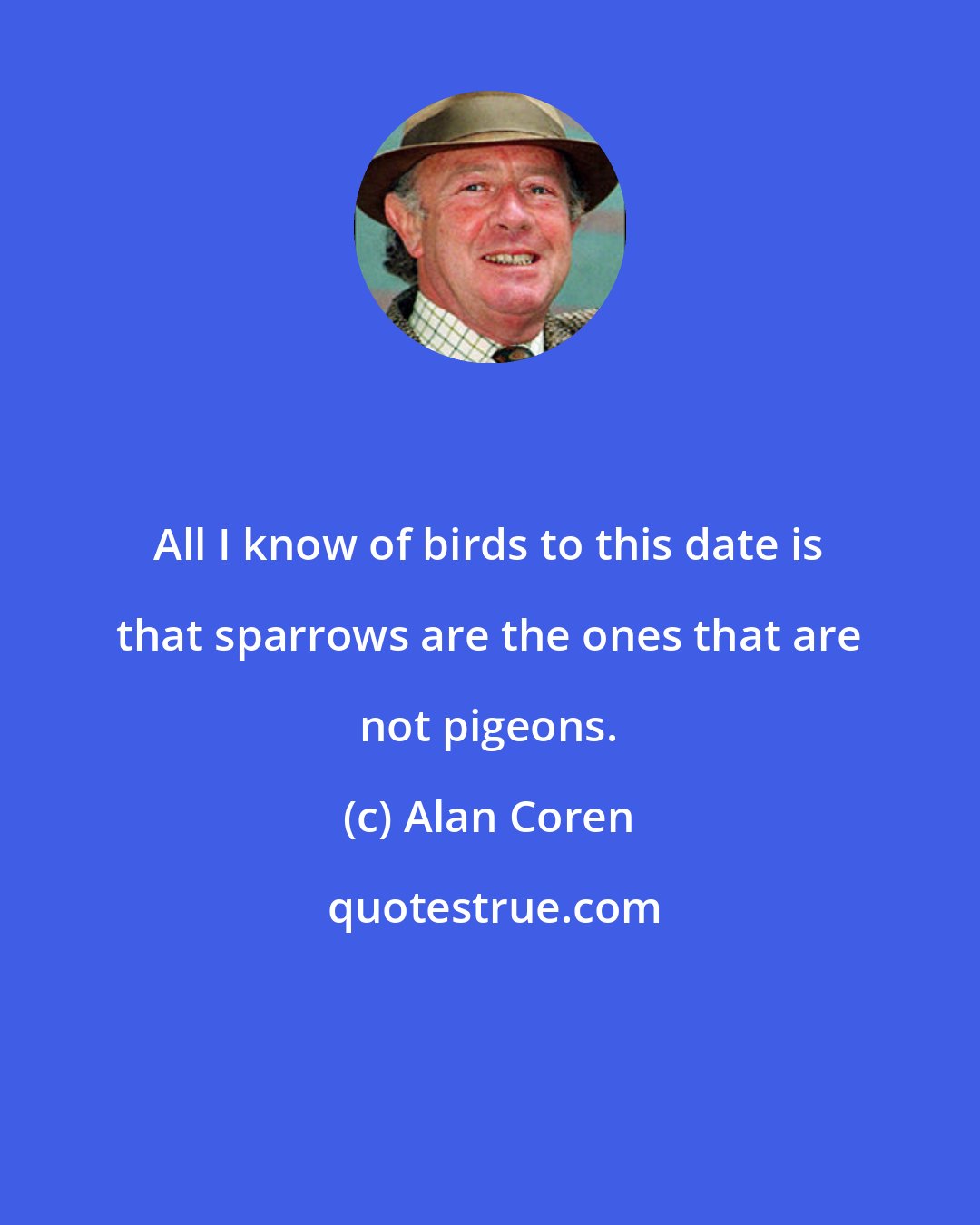 Alan Coren: All I know of birds to this date is that sparrows are the ones that are not pigeons.