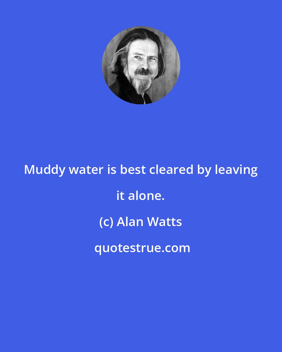 Alan Watts: Muddy water is best cleared by leaving it alone.